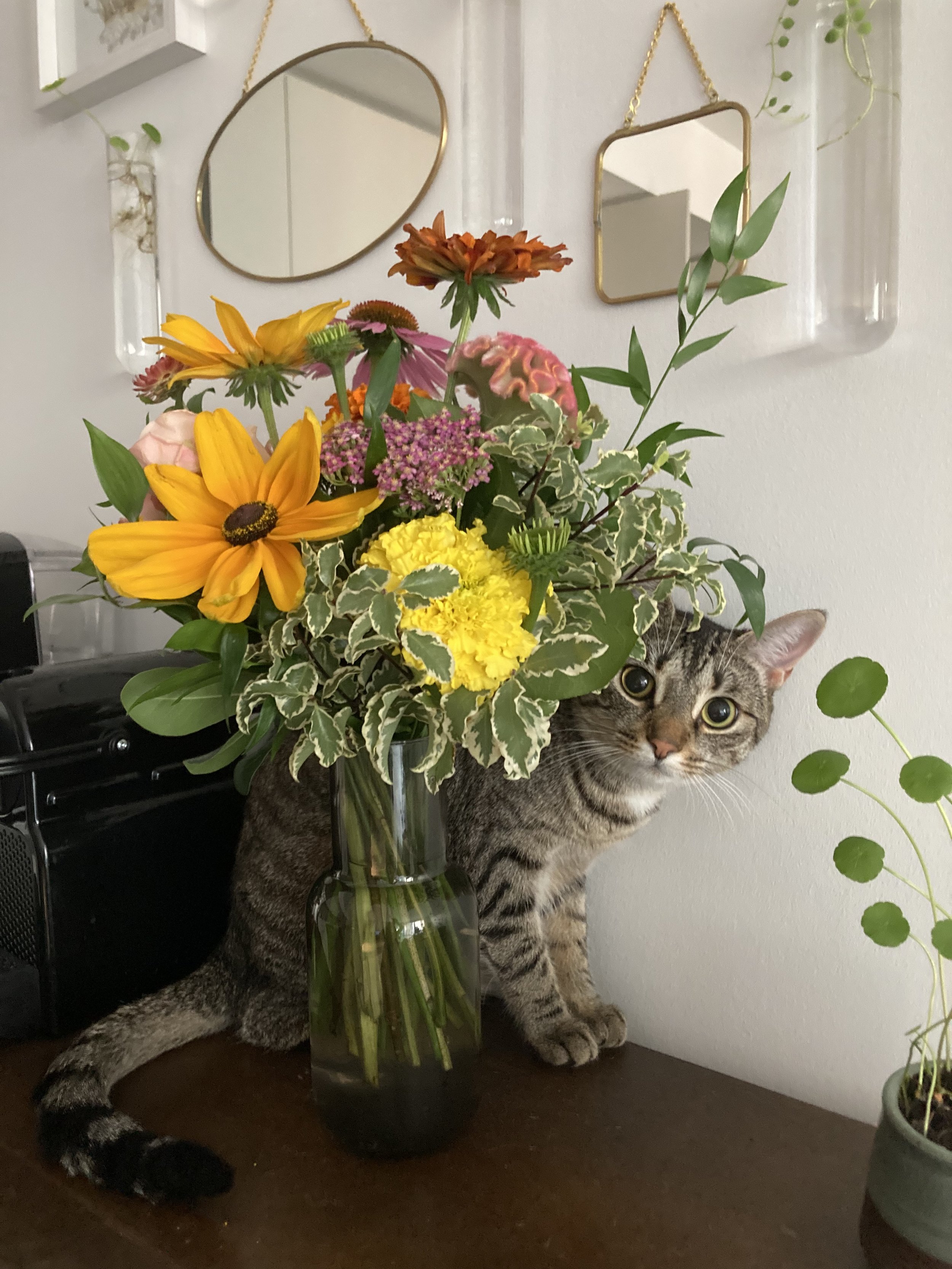 D33B0605-4D2B-4A8D-A279-AFDDB5451A33.jpeg
