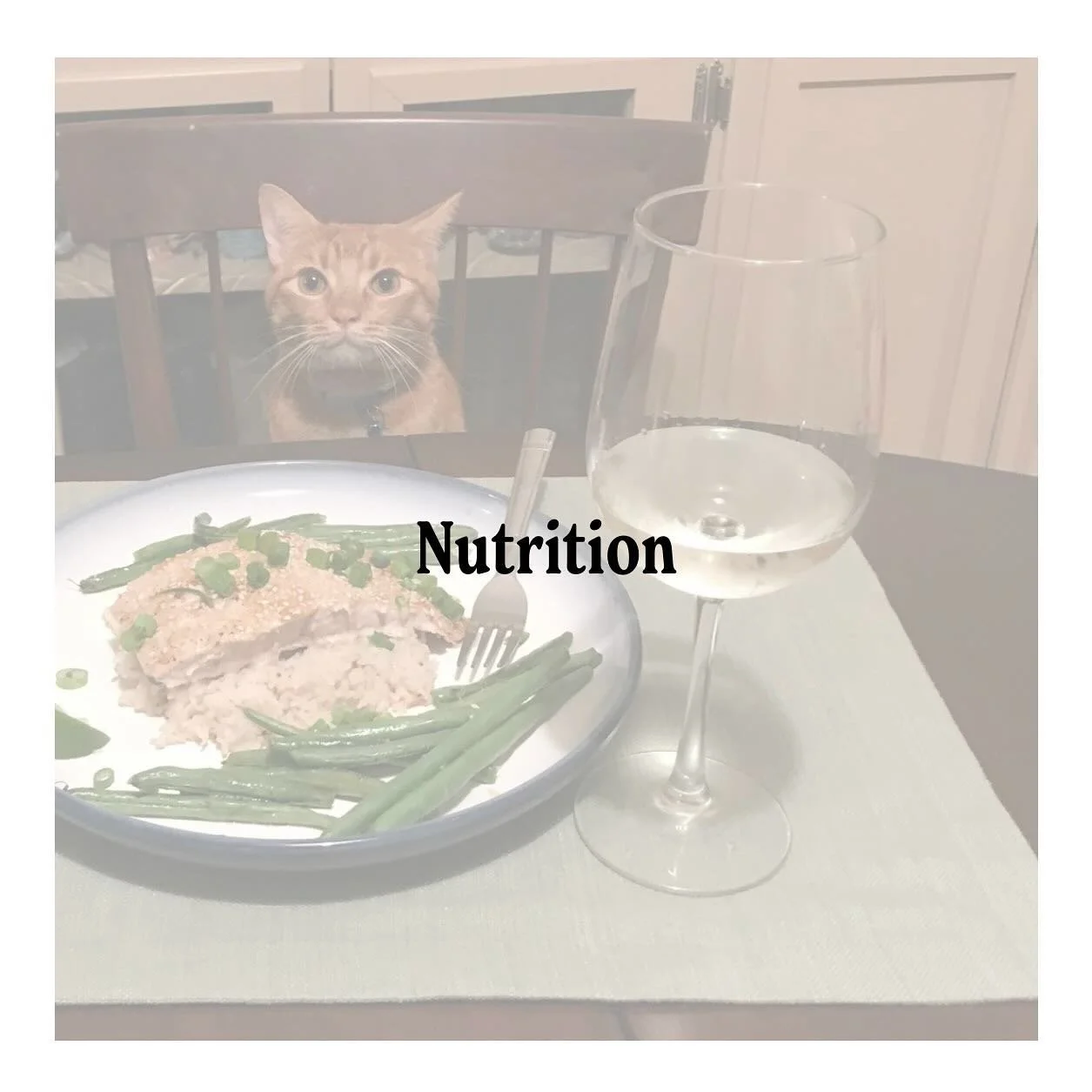 Grain free!? Add grains!? Raw!? Fresh!? Human grade!? Big name brand!? Boutique!? The &ldquo;Nutrition&rdquo; category of comprehensivecompanionship.com (link in bio) has veterinarian recommended, science backed answers to the many questions swirling