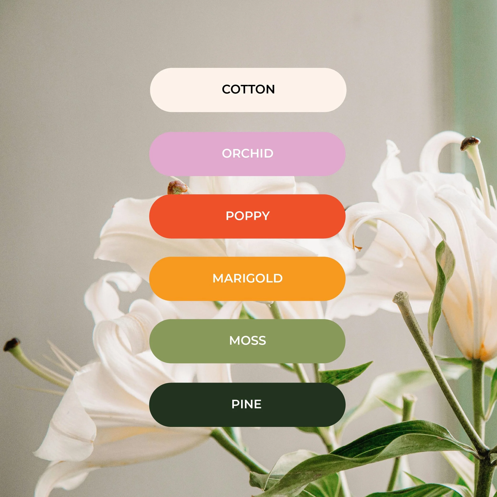 rockfish-design-studio-floreale-studio-branding-website-design-san-diego-florist12.jpg