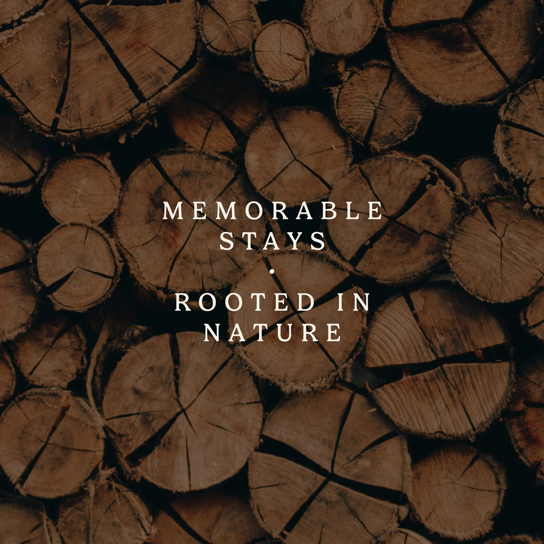 Rockfish-Design-Studio-Kindred-Pines-Properties-Branding-8.jpg
