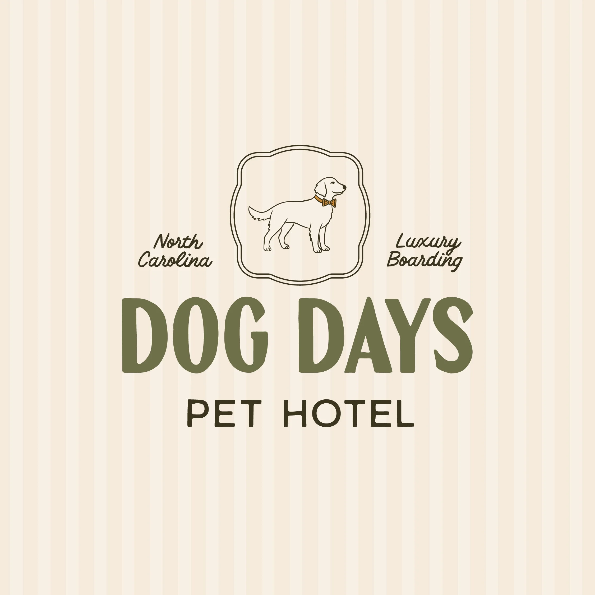 rockfish-design-studio-dog-days-pet-hotel-branding-web-design-02.jpg