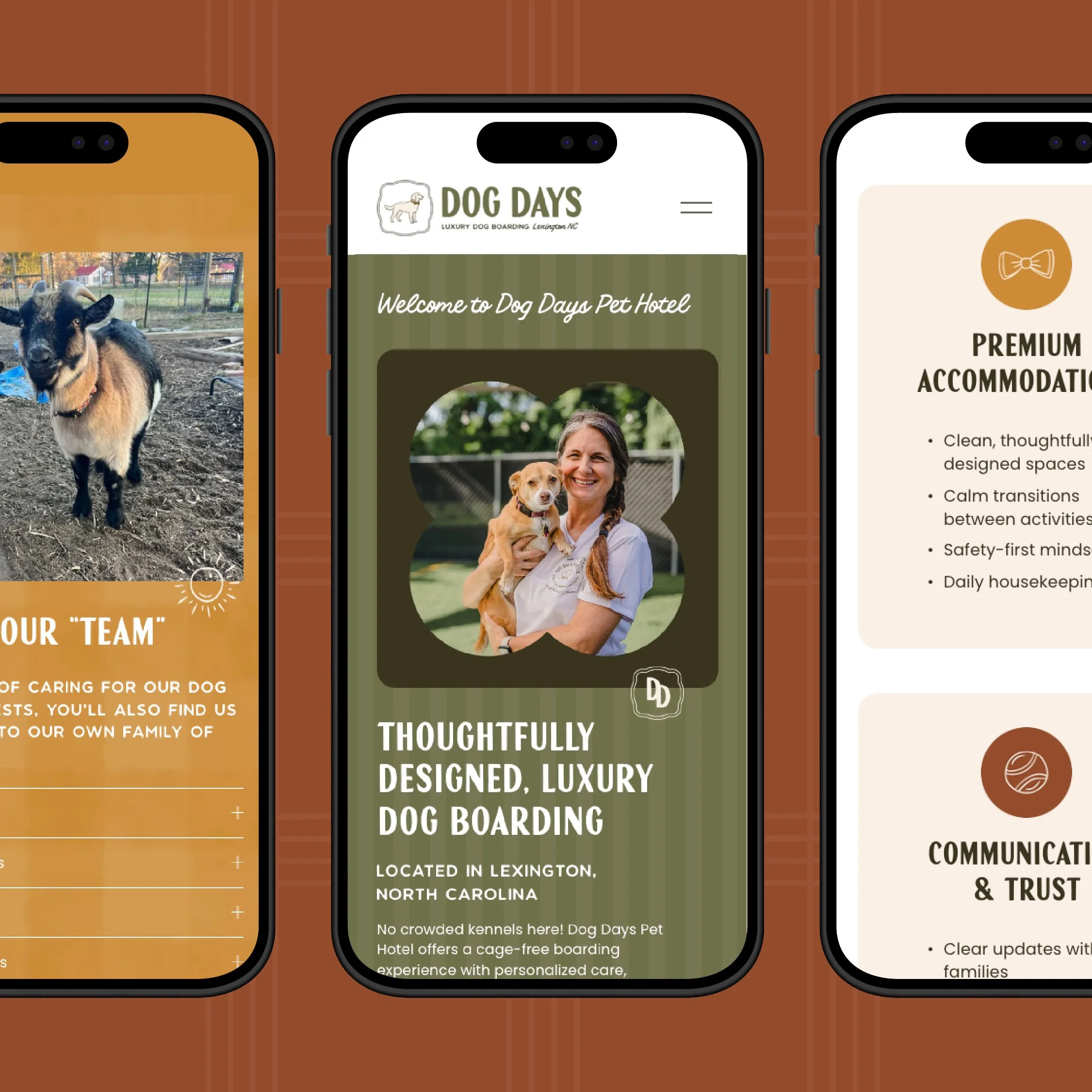 rockfish-design-studio-dog-days-pet-hotel-branding-web-design-04.jpg