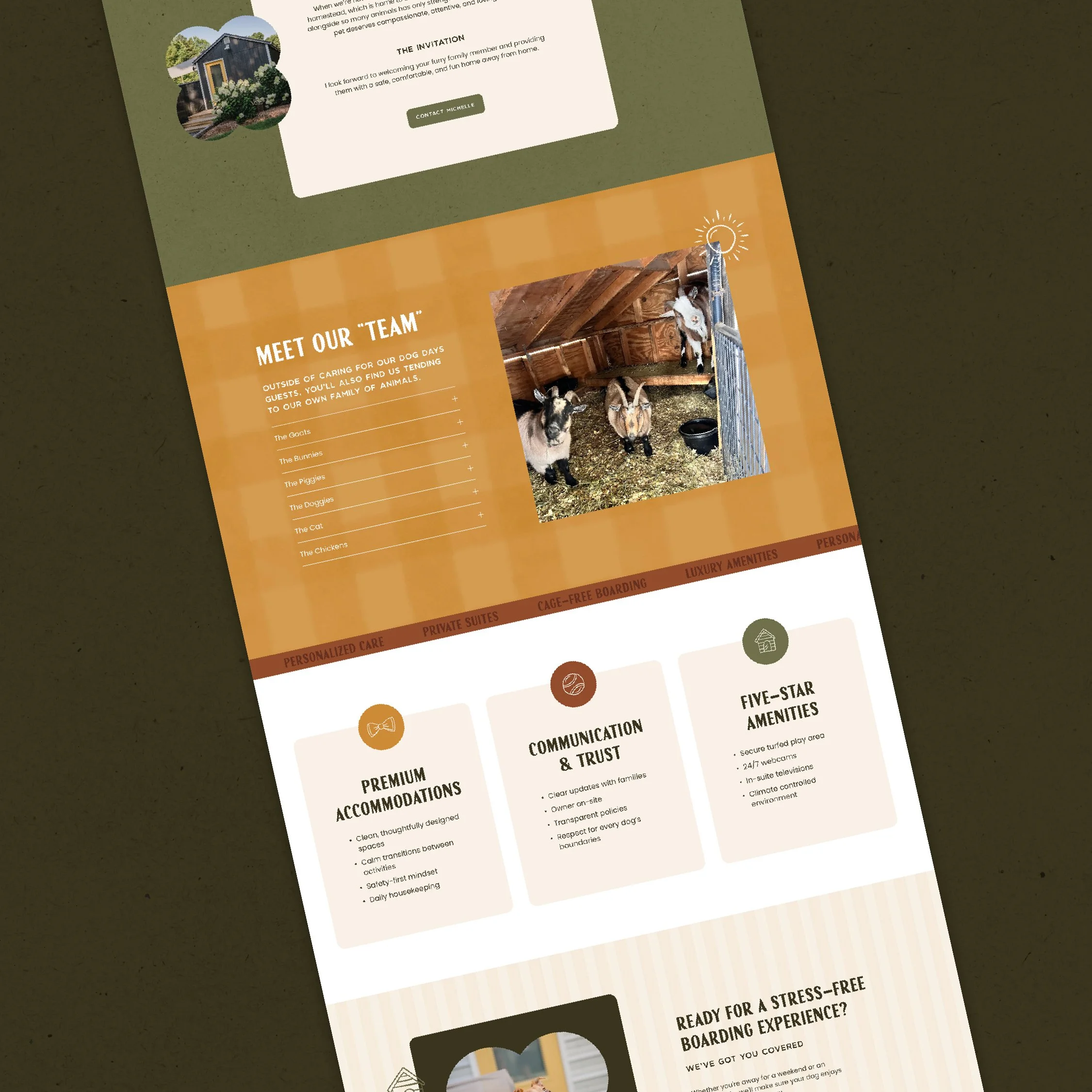 rockfish-design-studio-dog-days-pet-hotel-branding-web-design-06.jpg