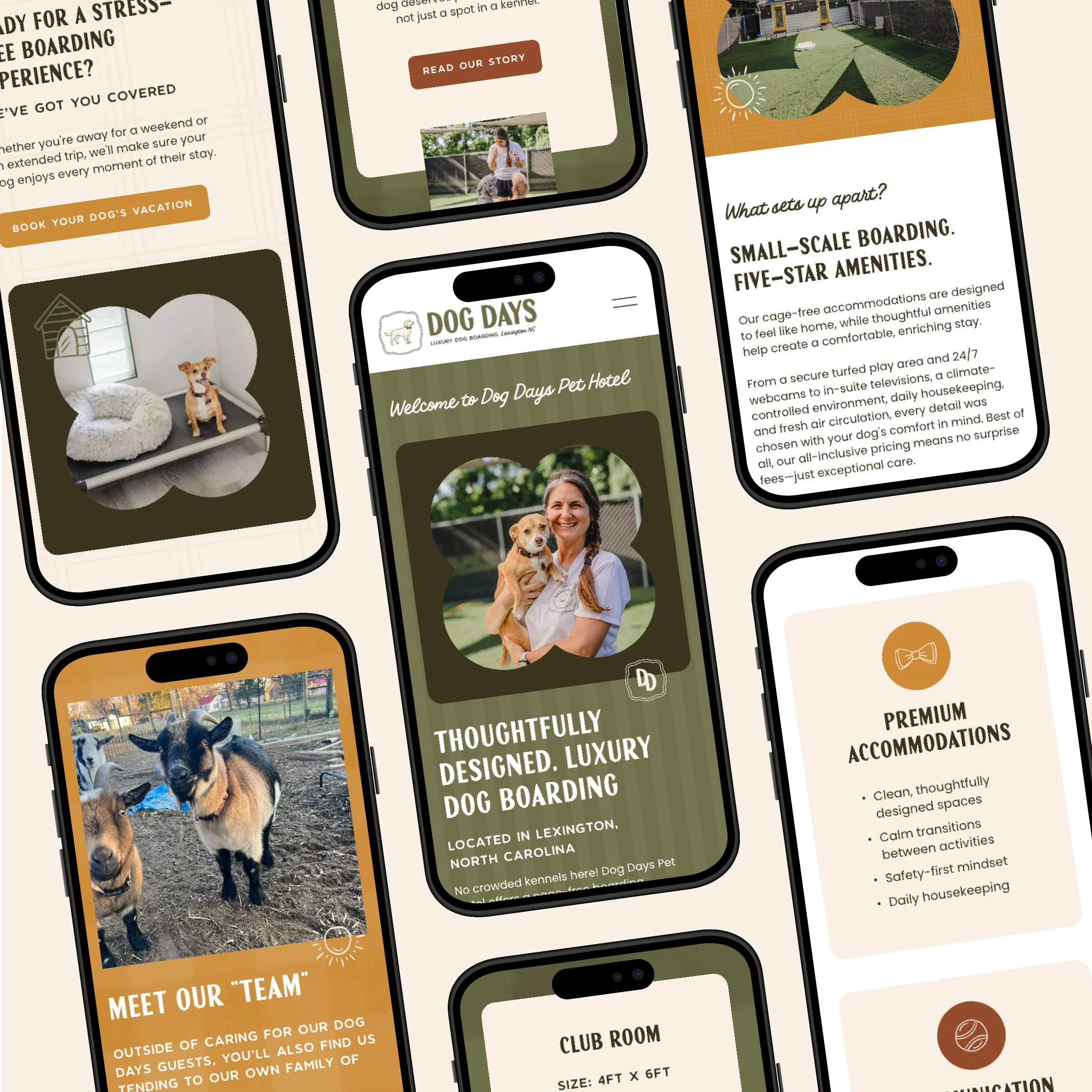 rockfish-design-studio-dog-days-pet-hotel-branding-web-design-10.jpg