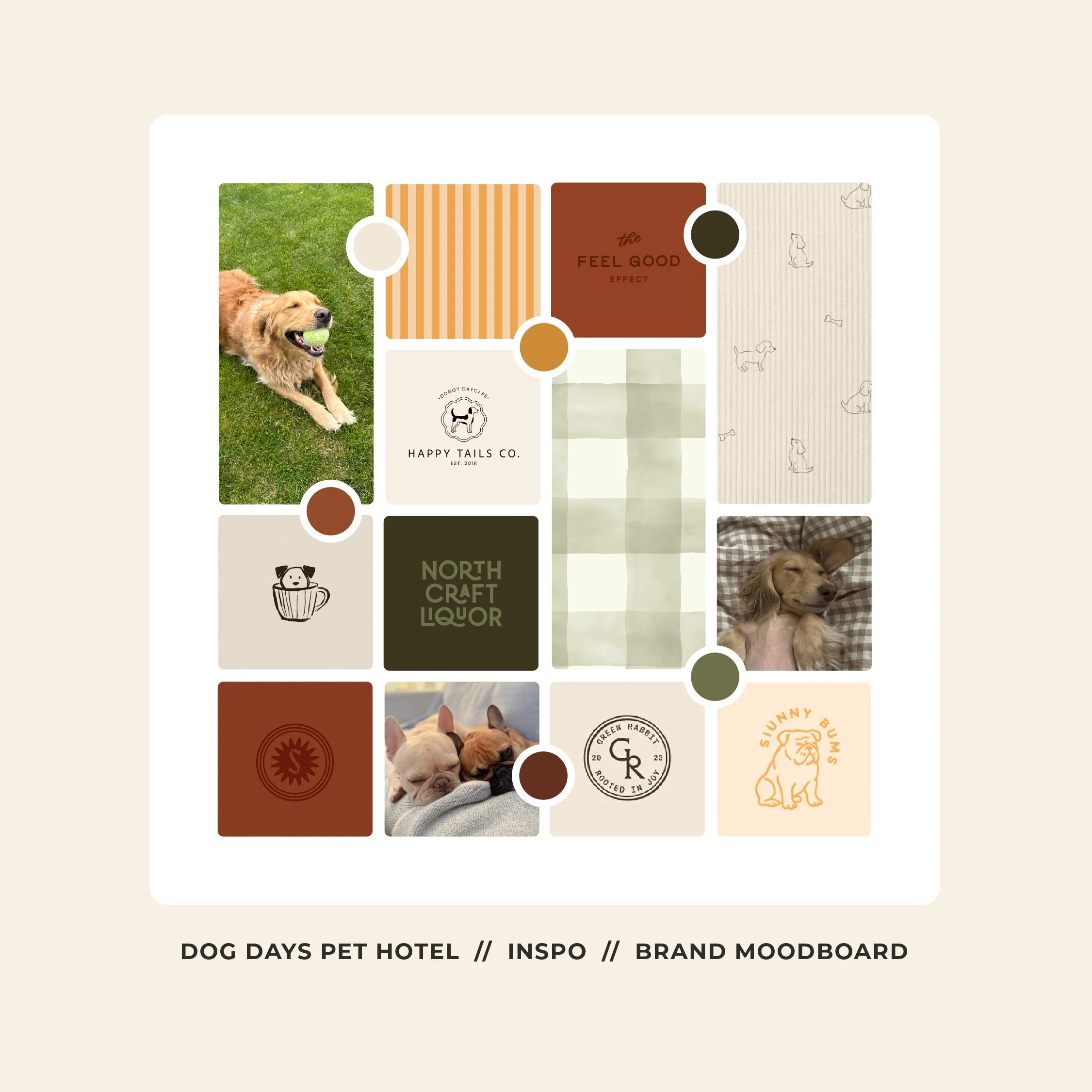 rockfish-design-studio-dog-days-pet-hotel-branding-web-design-14.jpg