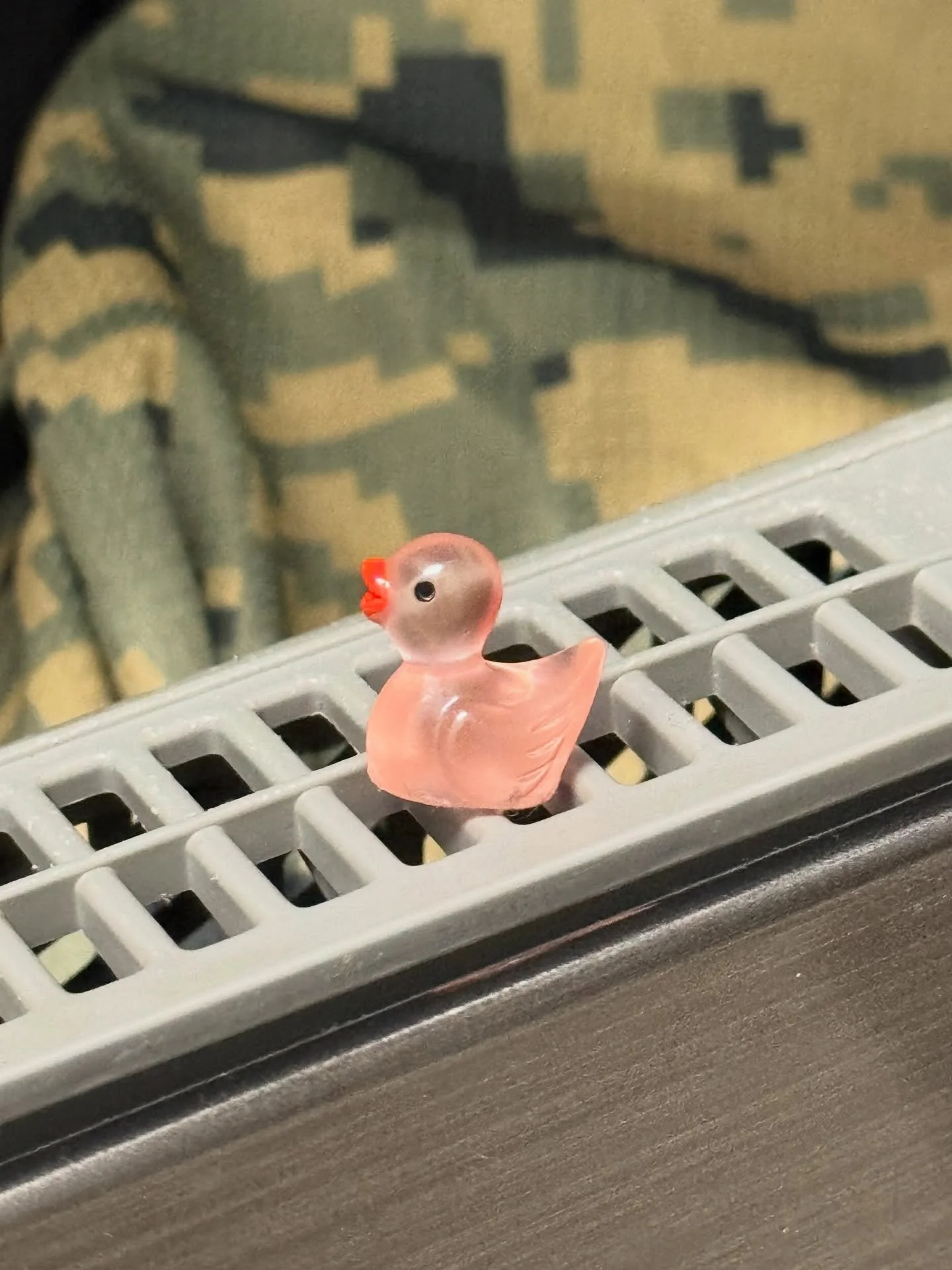 Things that show up in our dryer filter a week after EDC. 🐤🐣 Anyone else have this problem? #WhatTheDuck #EdC #edclasvegas
