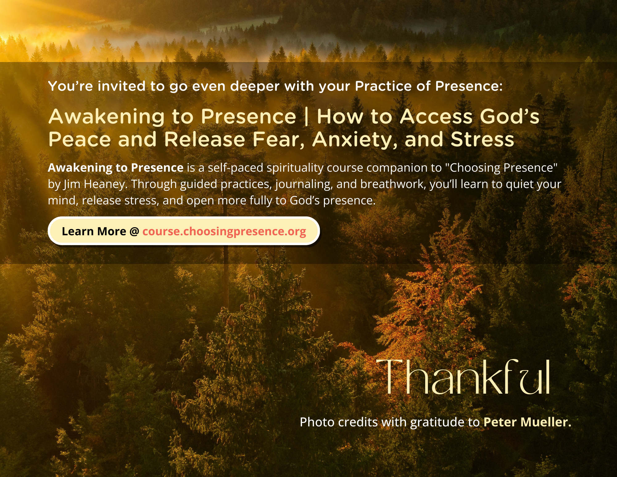 Choosing Presence Calendar (Back)