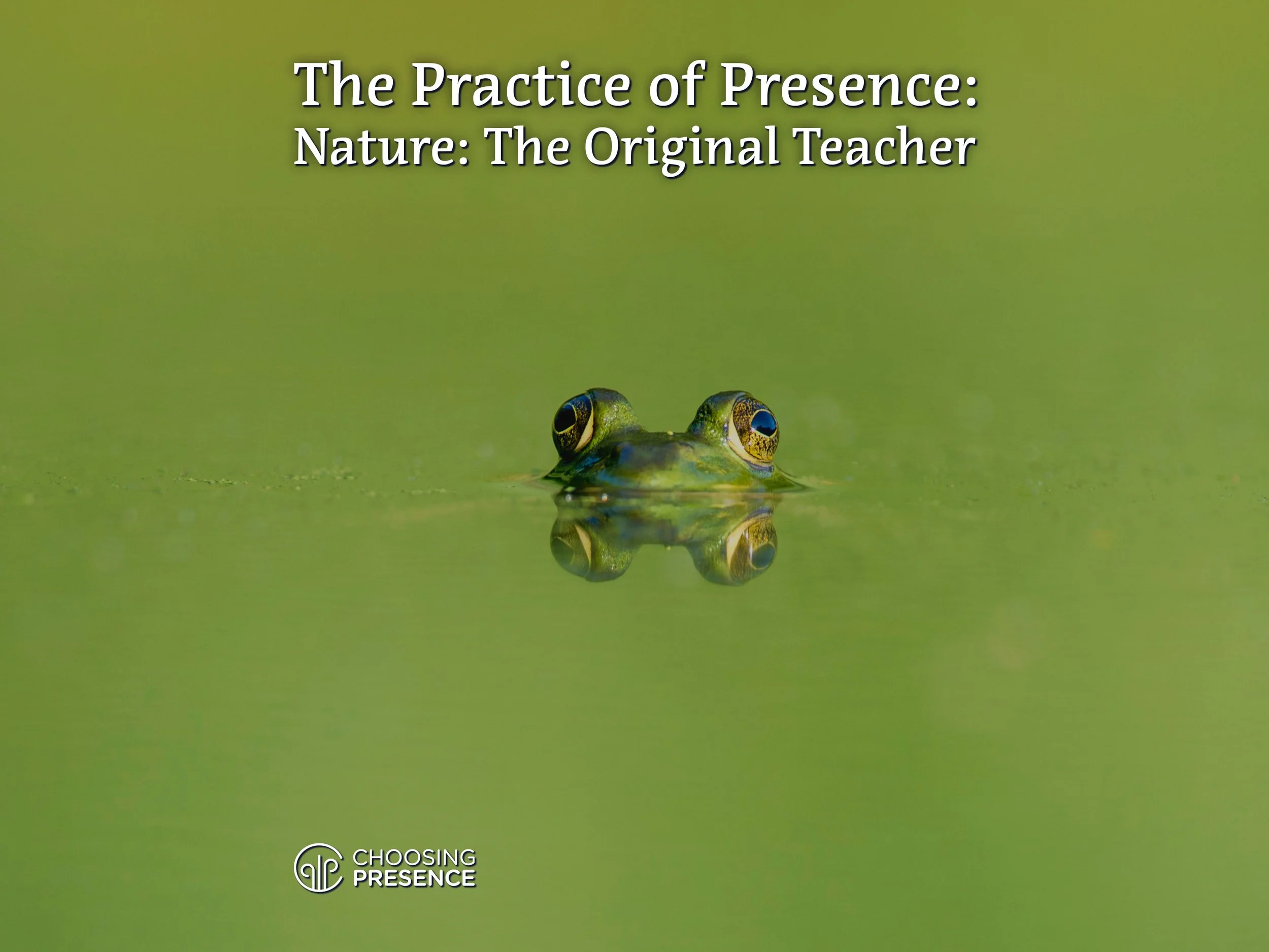 Nature: The Original Teacher