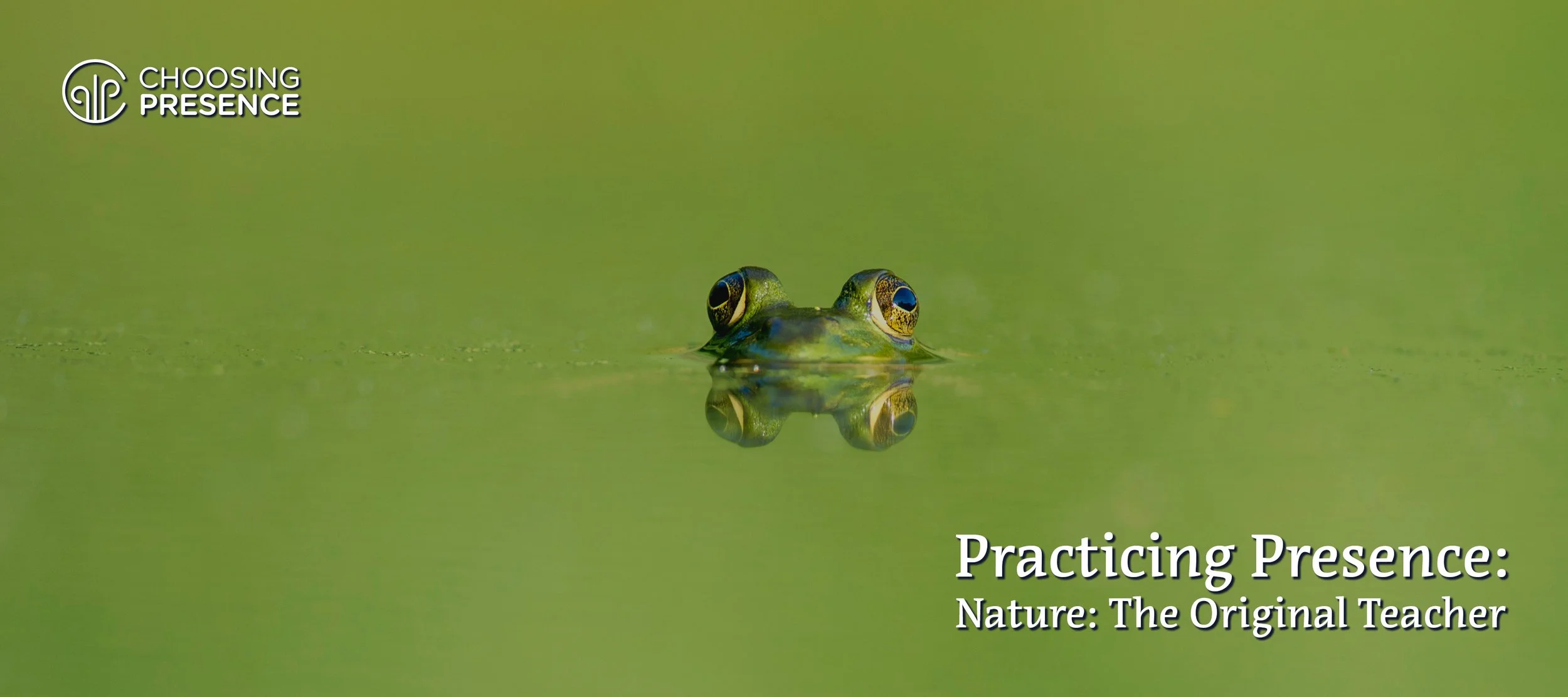 🐸 Nature: The Original Teacher of Presence