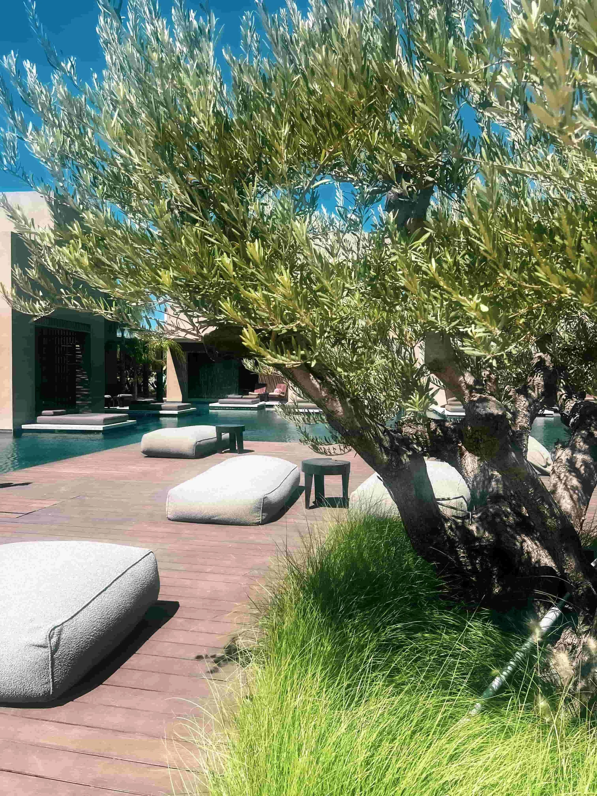 Casa Cooks Samos -Greece