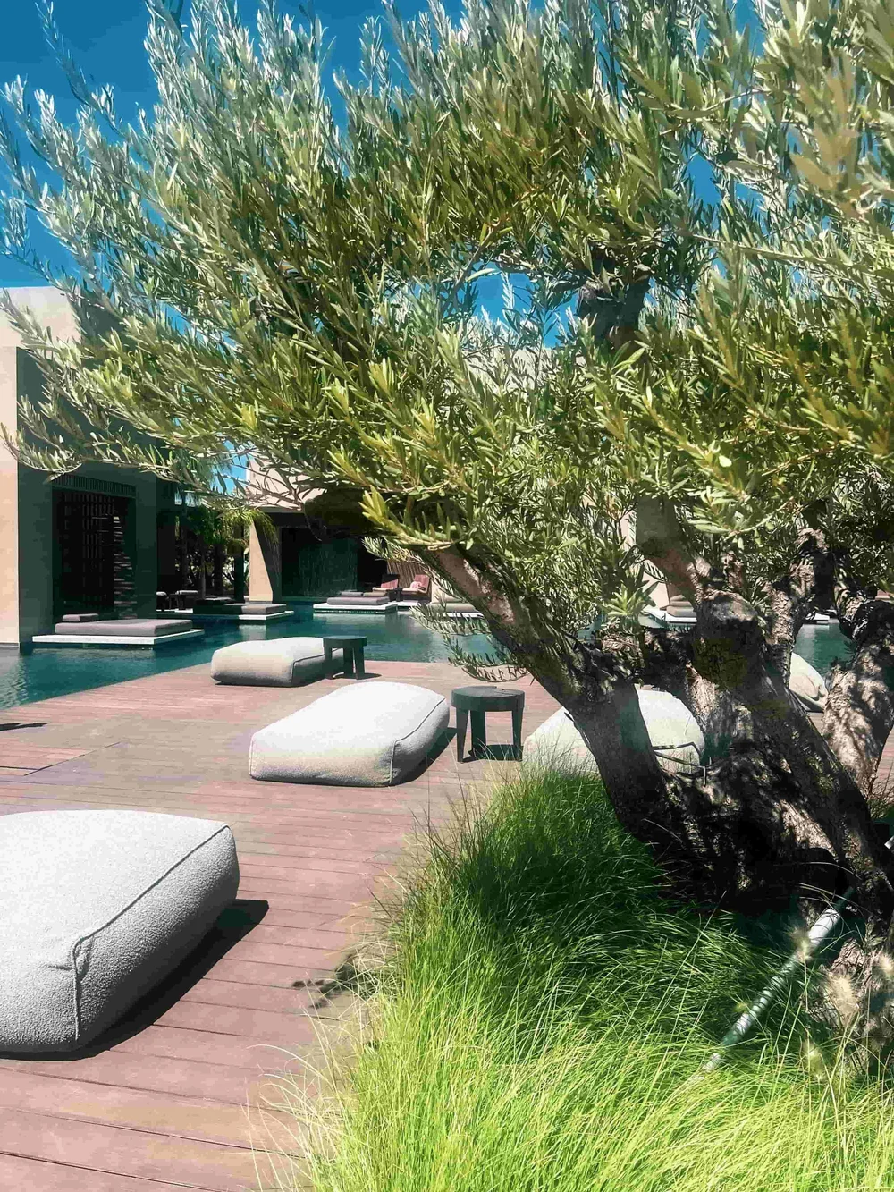 Casa Cooks Samos -Greece