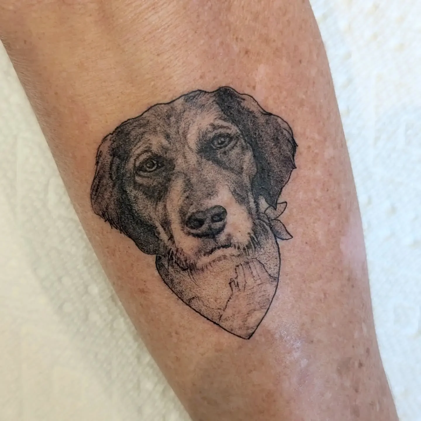 Micro portrait of Townes for my friend Aly 🙏

3in tall. 

Thanks so much babe!

#tattoo #microportrait #petportraittattoo