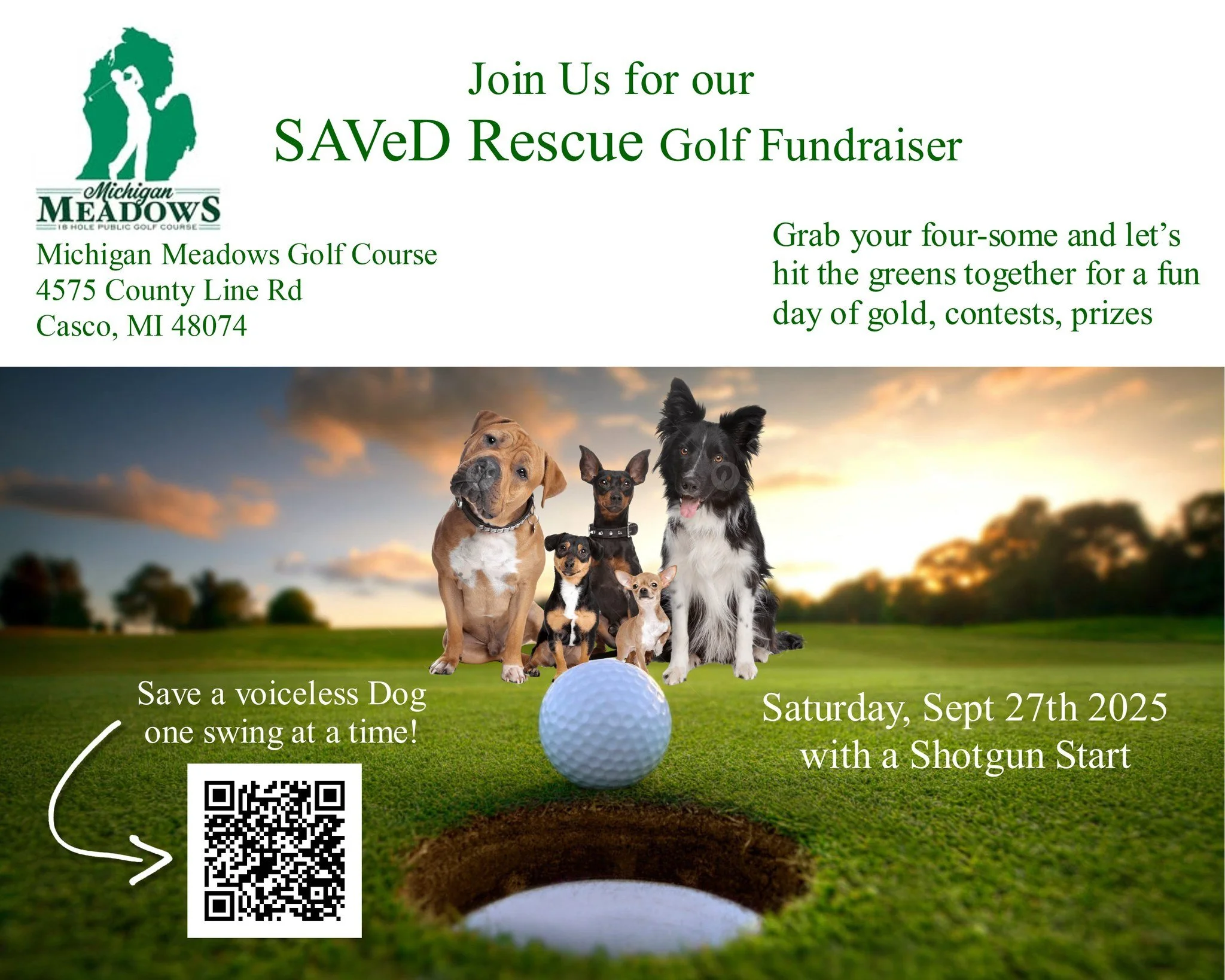 Puttin' Fore Paws