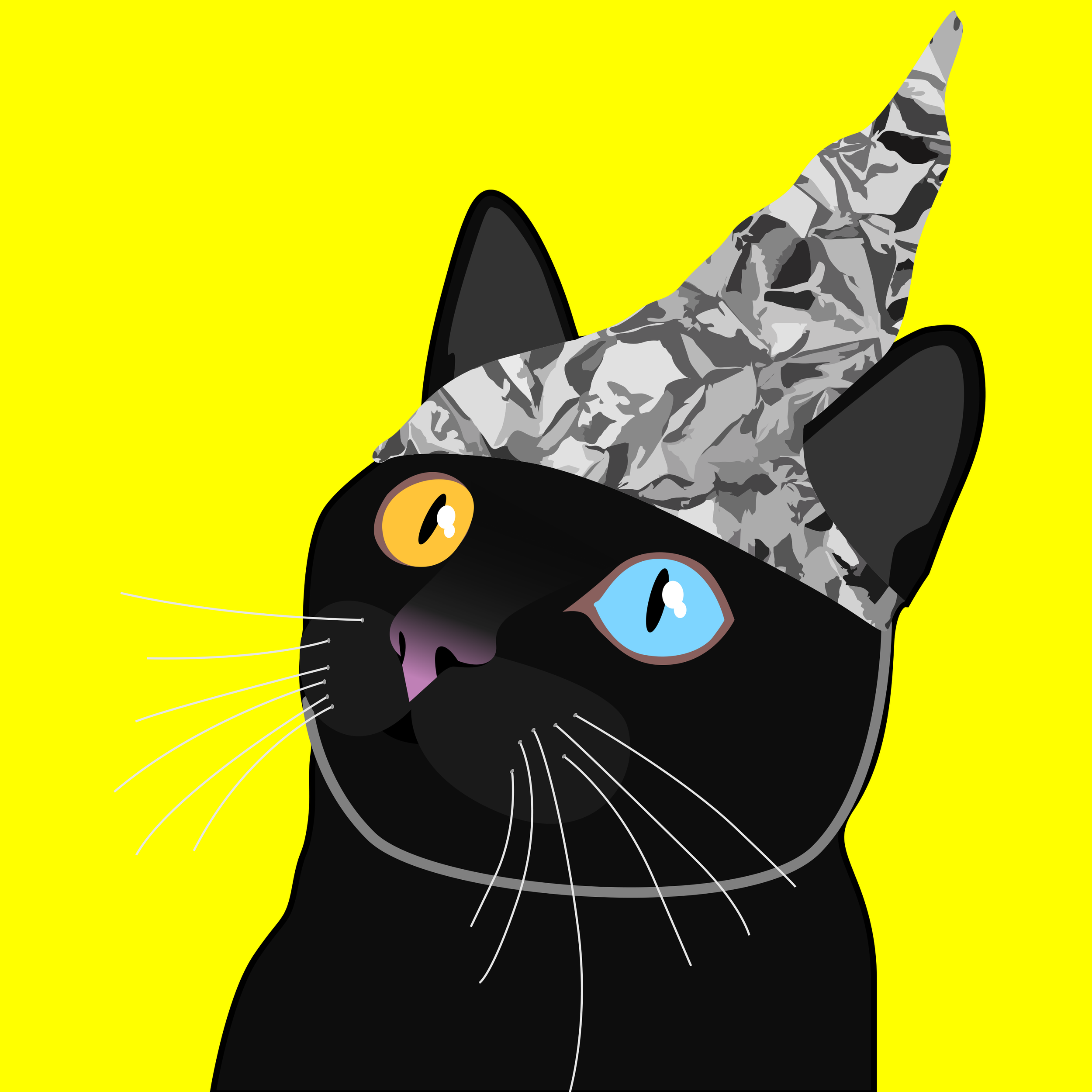 Tin Foil Cats | Rare Solana NFTs 2024 | Top Solana NFT projects to watch