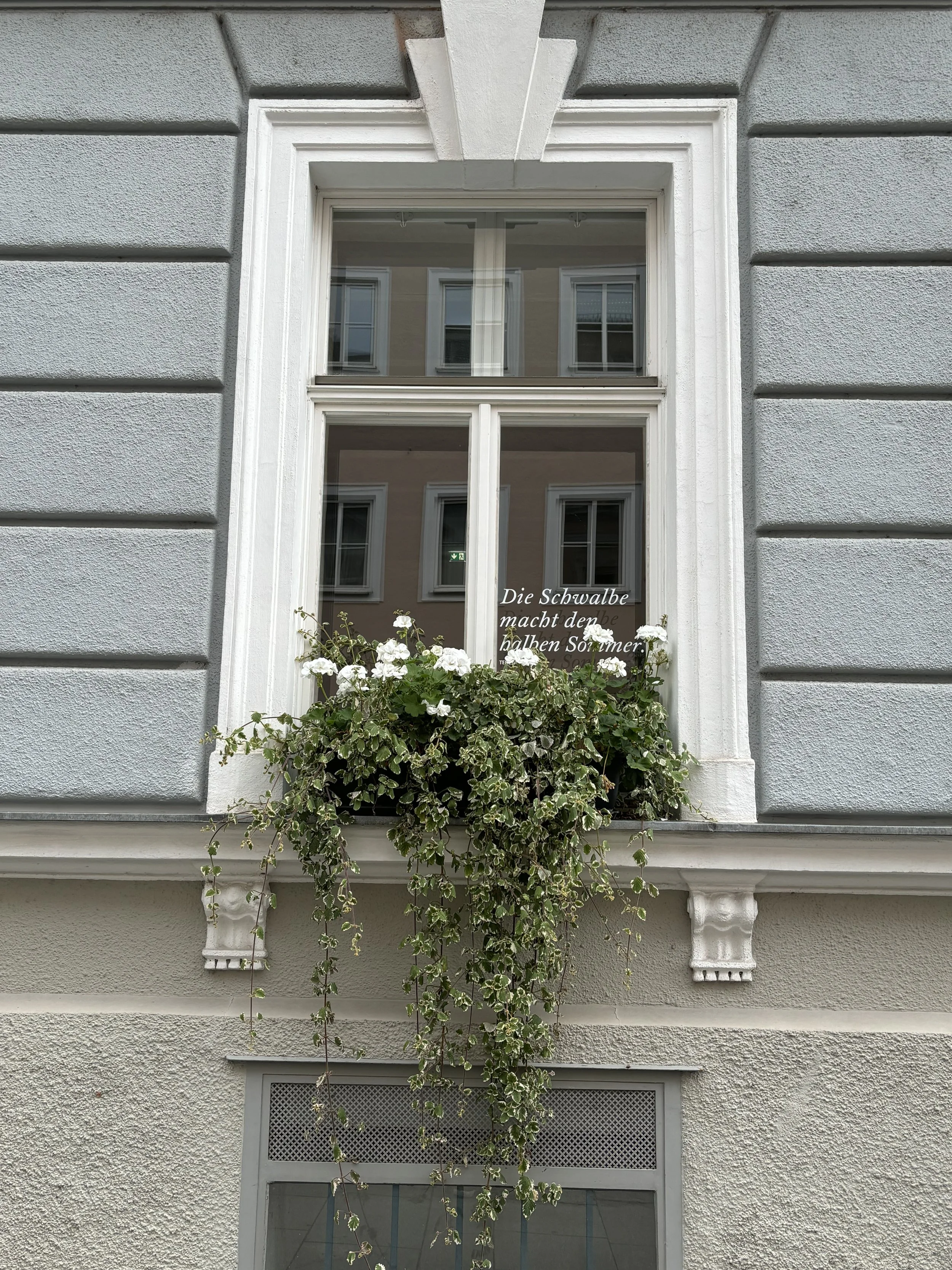 IMG_9951.jpeg