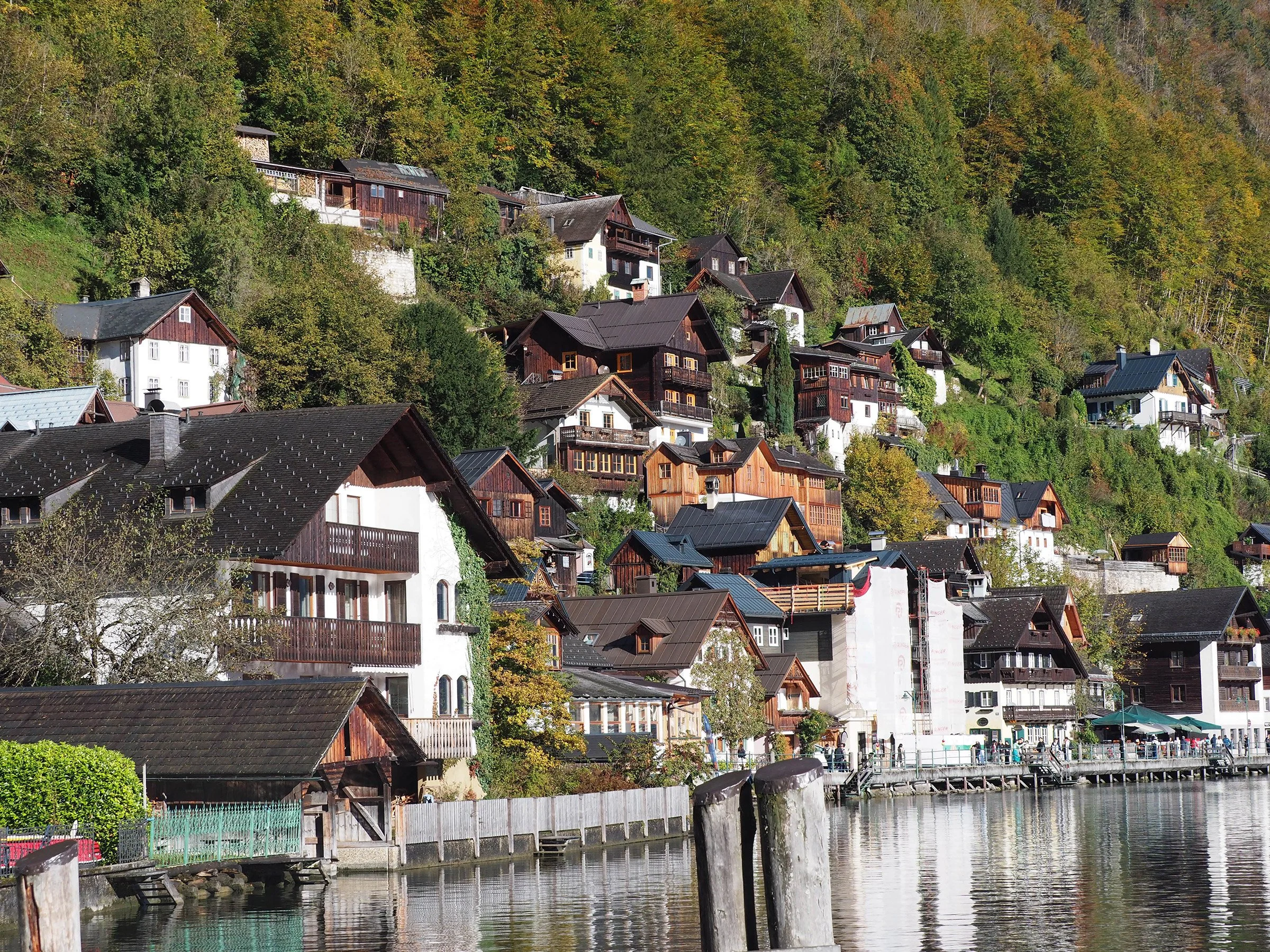 PA060219.jpg