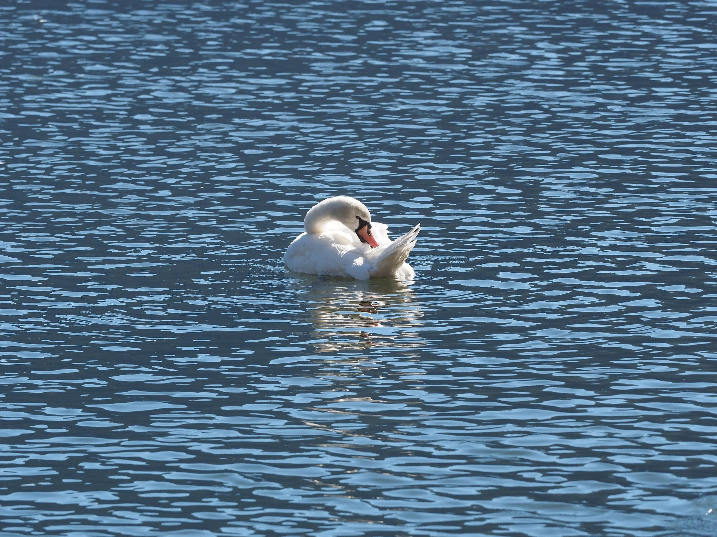 PA060264.jpg