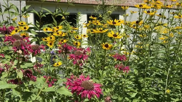 IMG_9510.jpeg