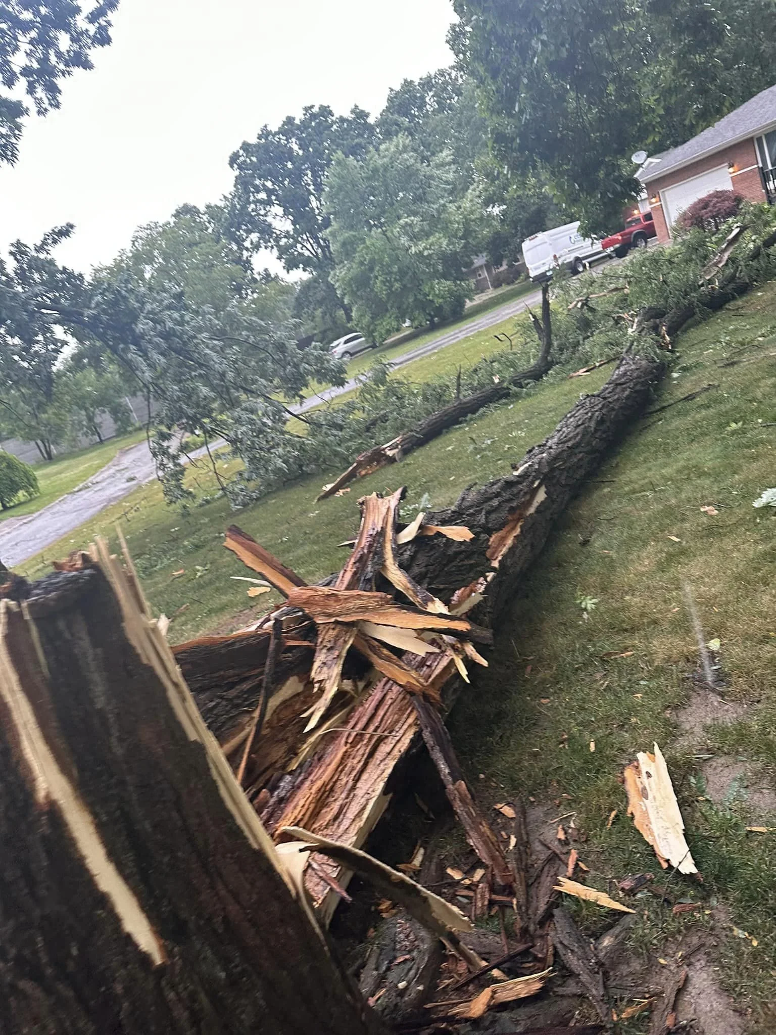 davids website storm damage 2.jpg