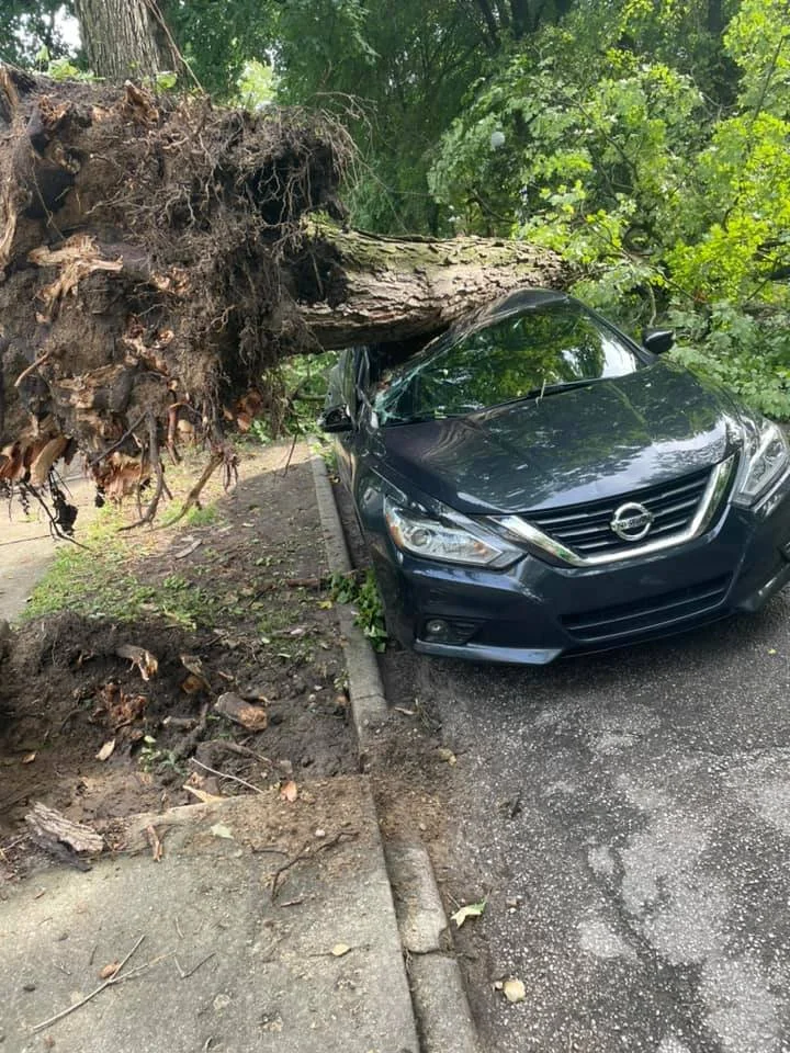 storm damage.jpg