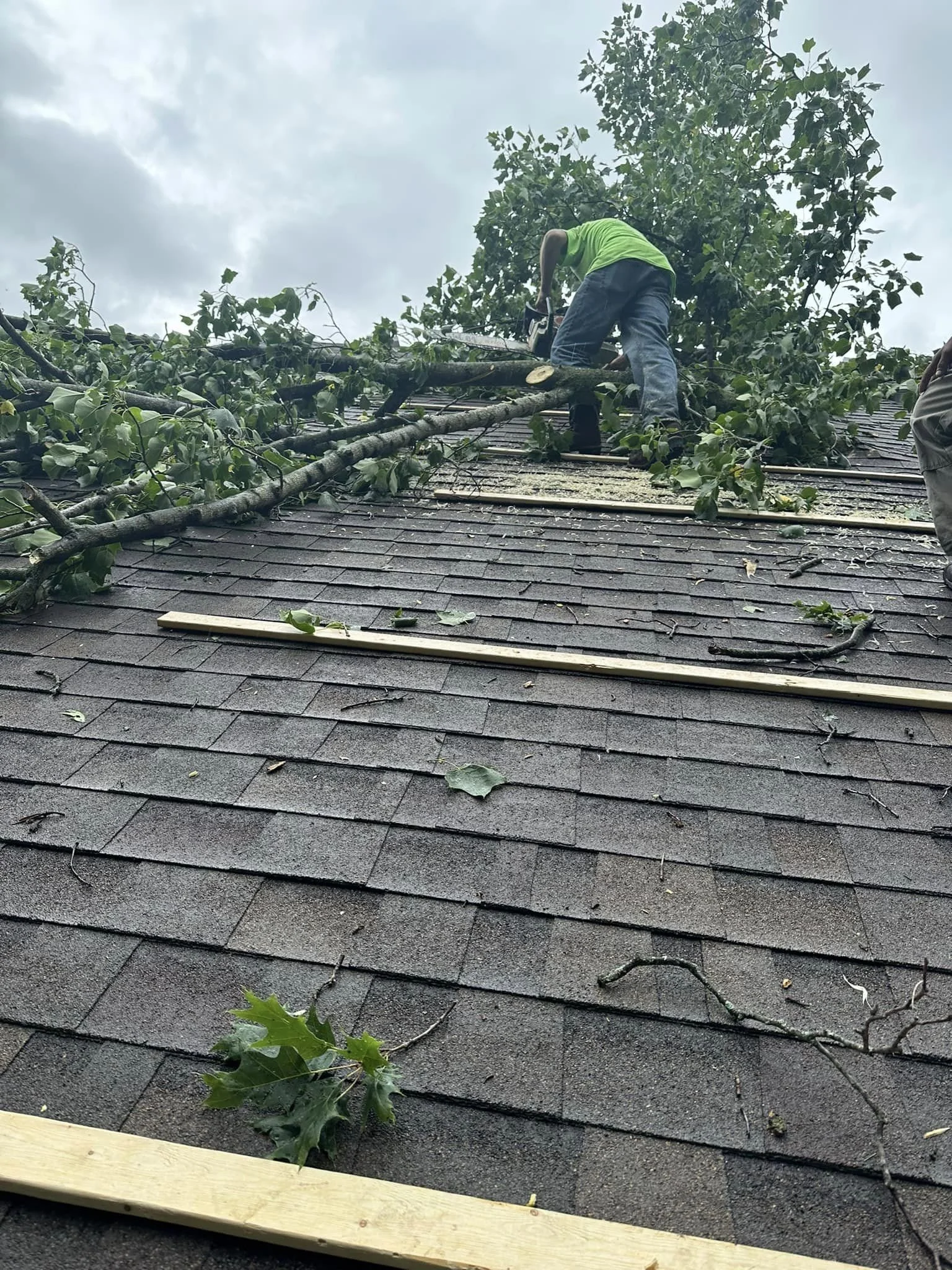 davids website storm damage 1.jpg