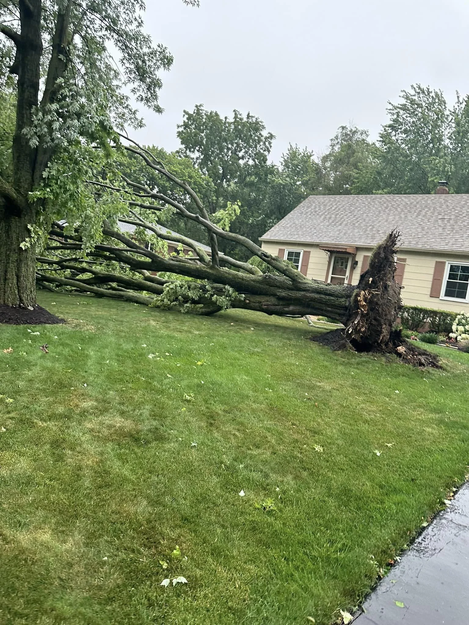 davids website storm damage.jpg