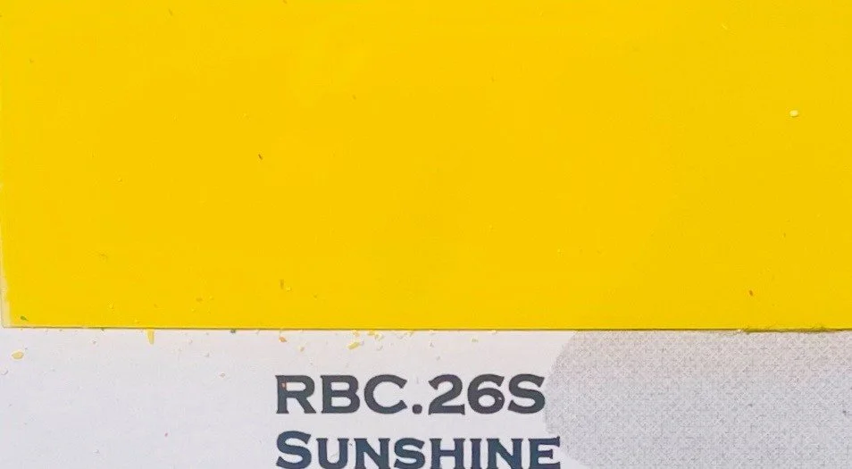 sunshine chip.jpg