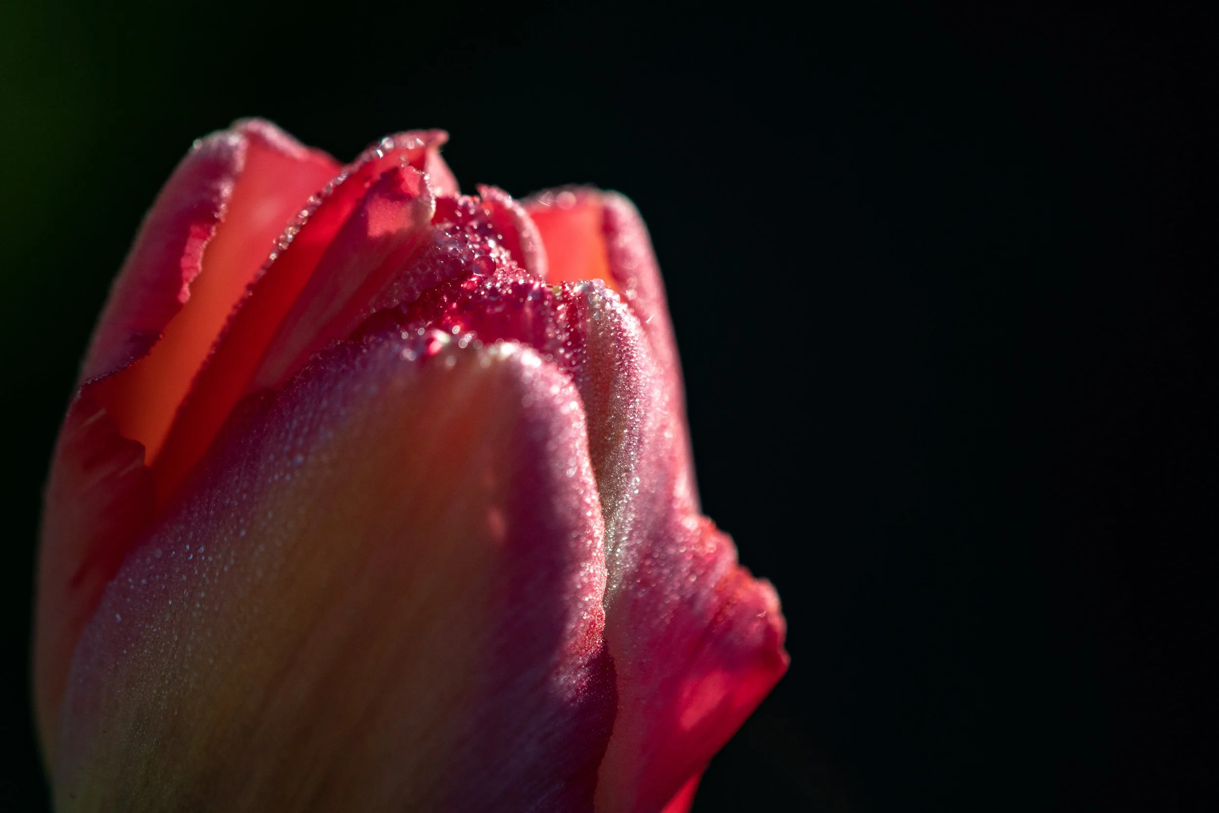 DSC_7170.jpg