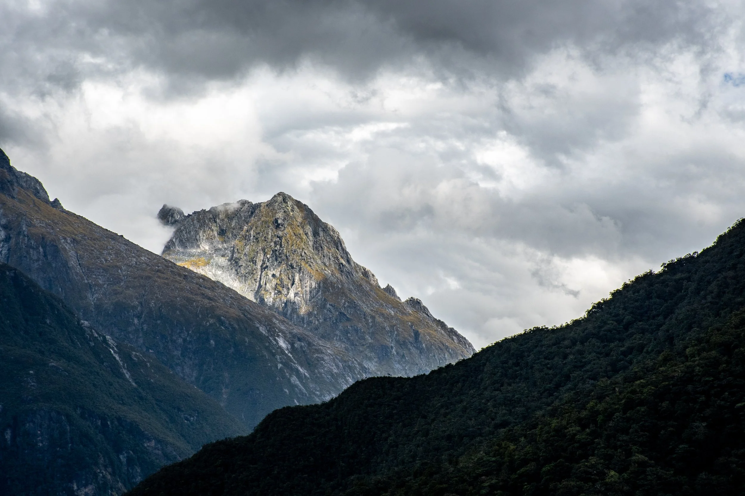 DSC_5604.jpg