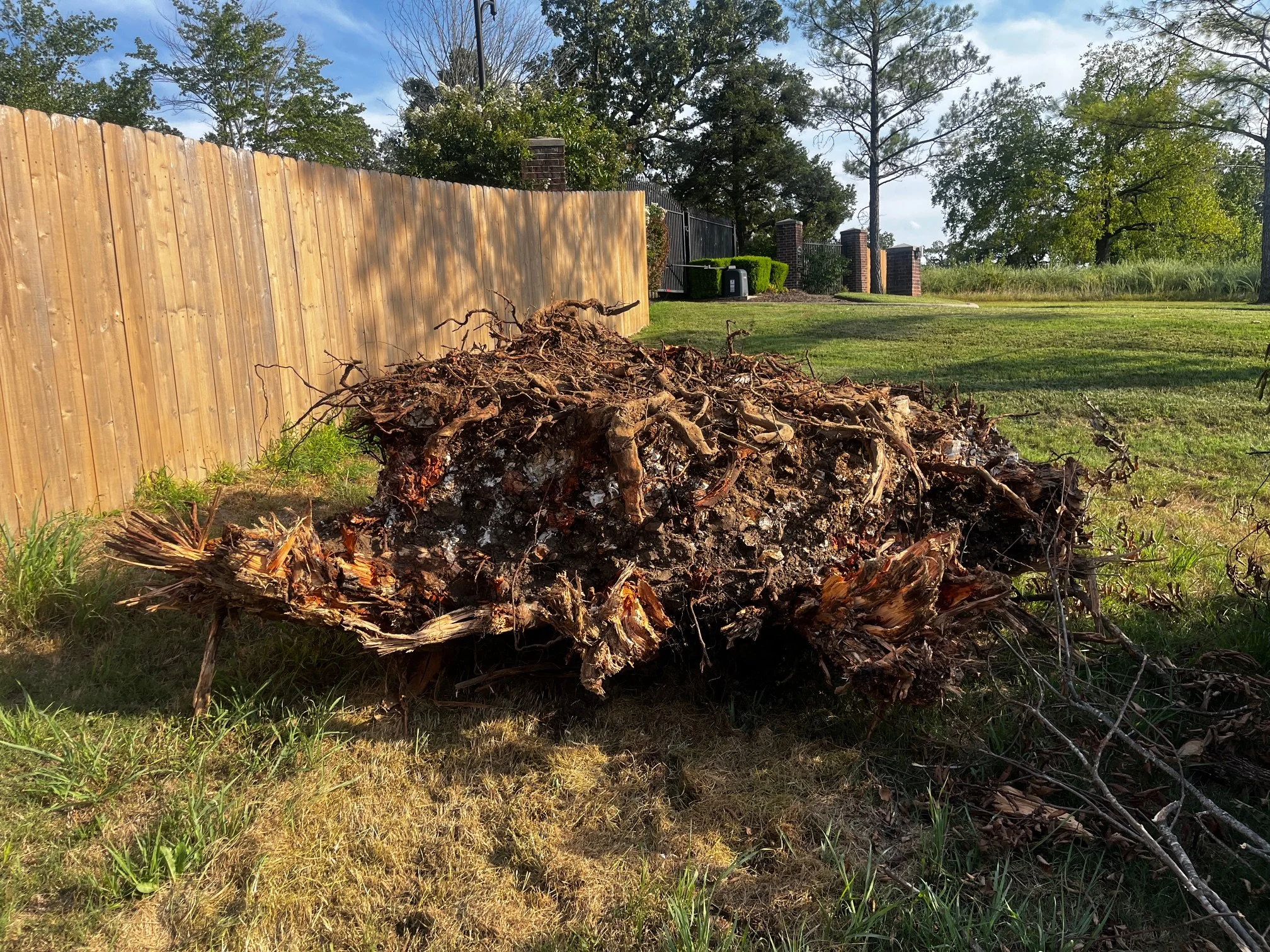 Pile of chopped tree roots and wood debris on grass near a wooden fence, with trees and gate in the background under a partly cloudy sky.