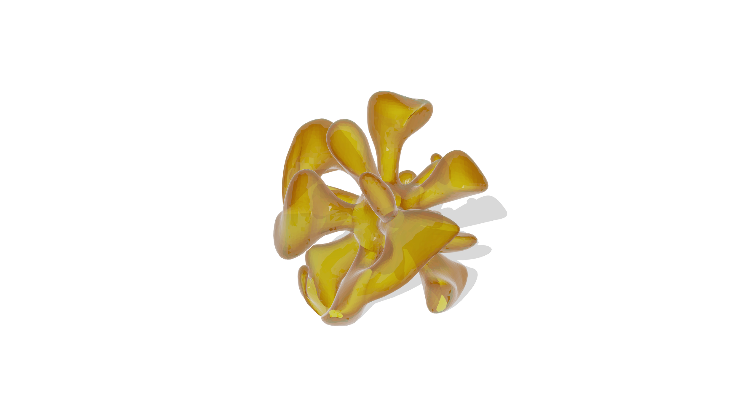 amoeba-edited.png