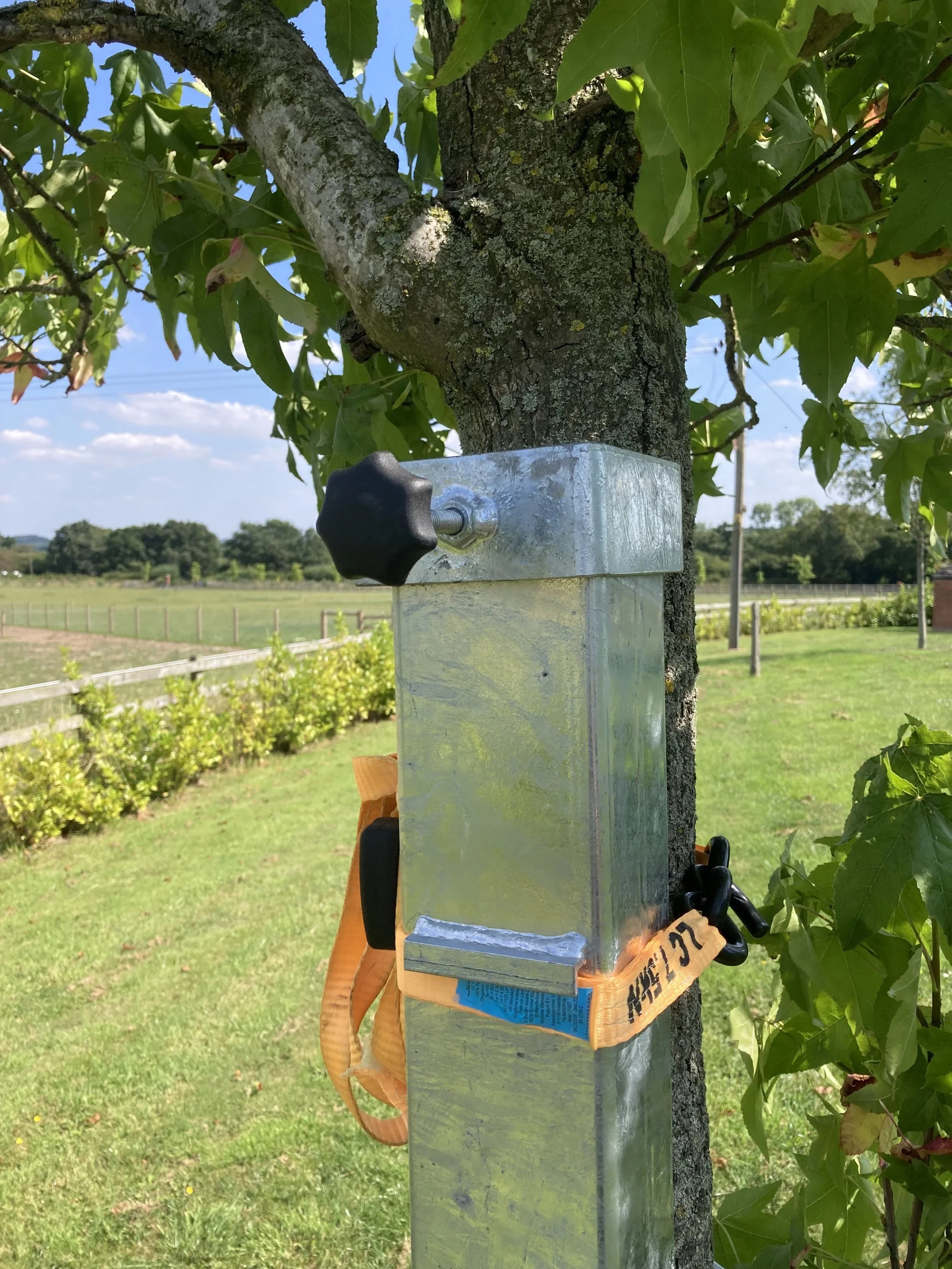 Squirrel feeder 2.webp