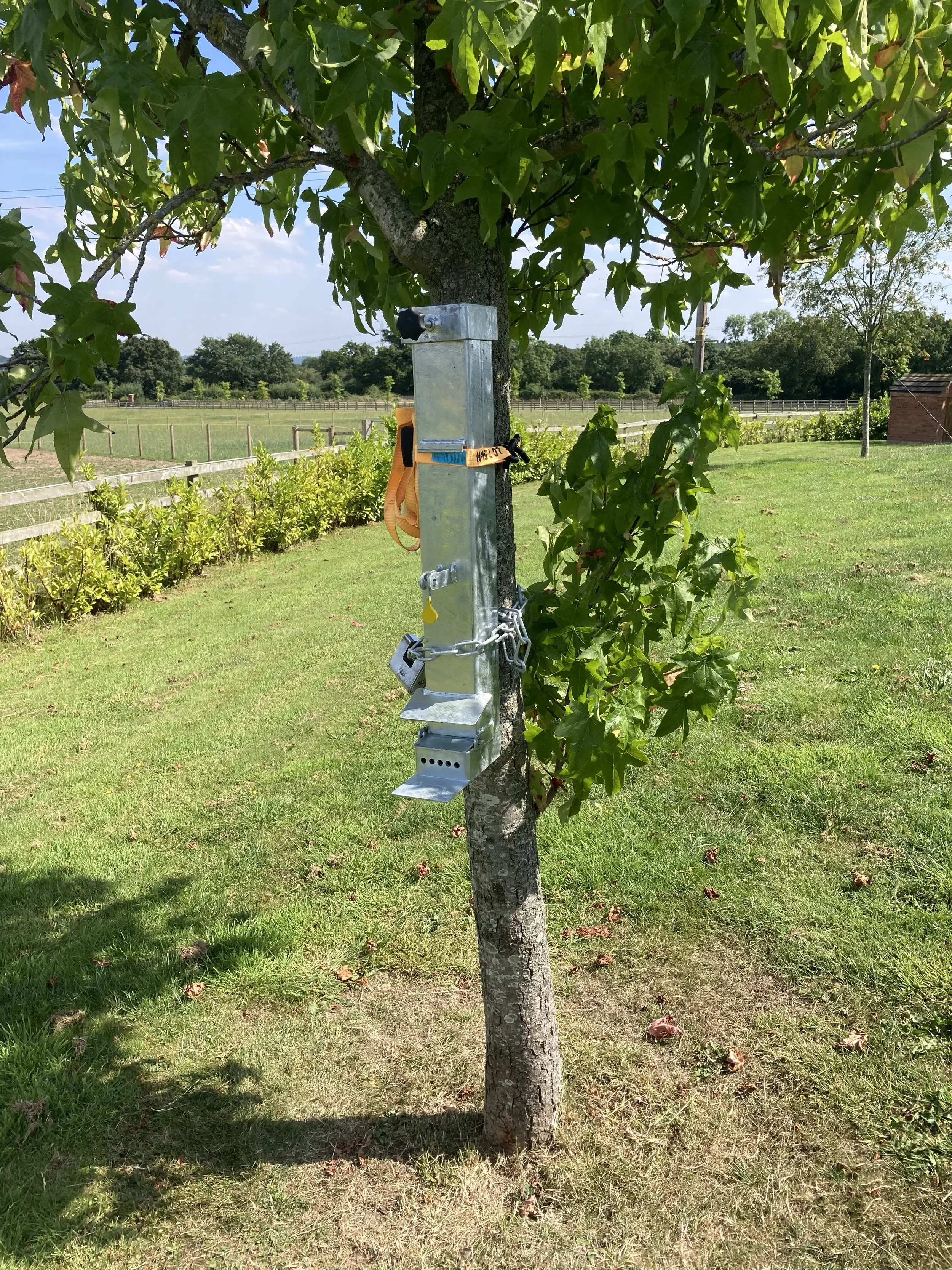 Squirrel Feeder 1.webp
