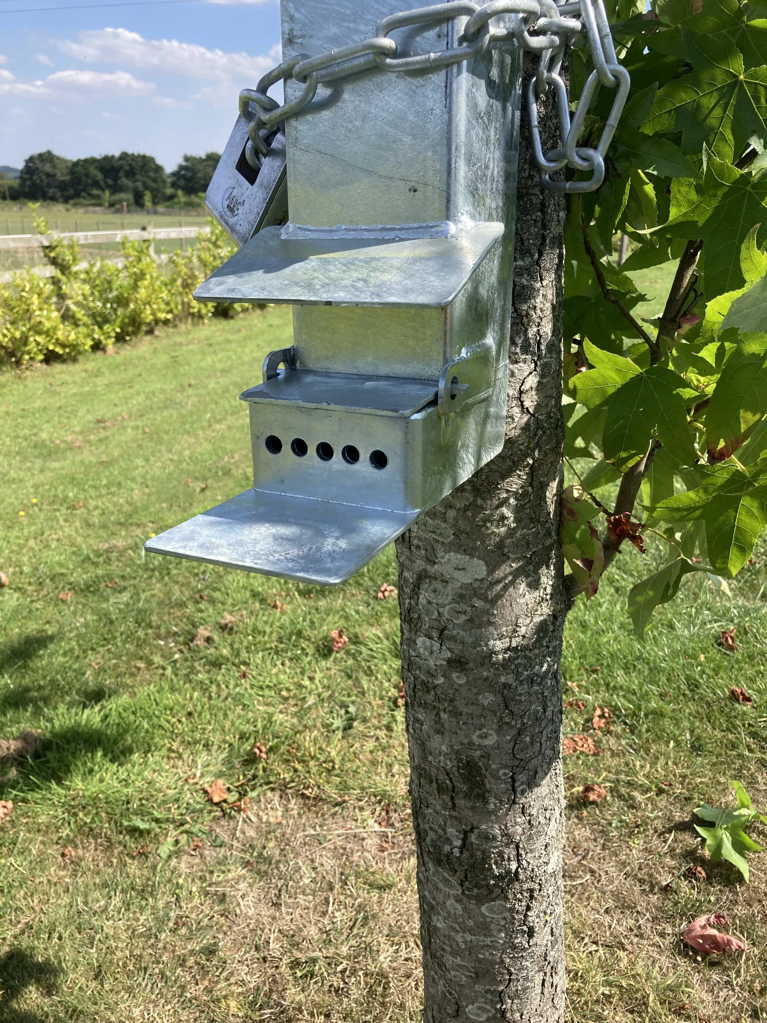 Squirrel feeder 4.webp