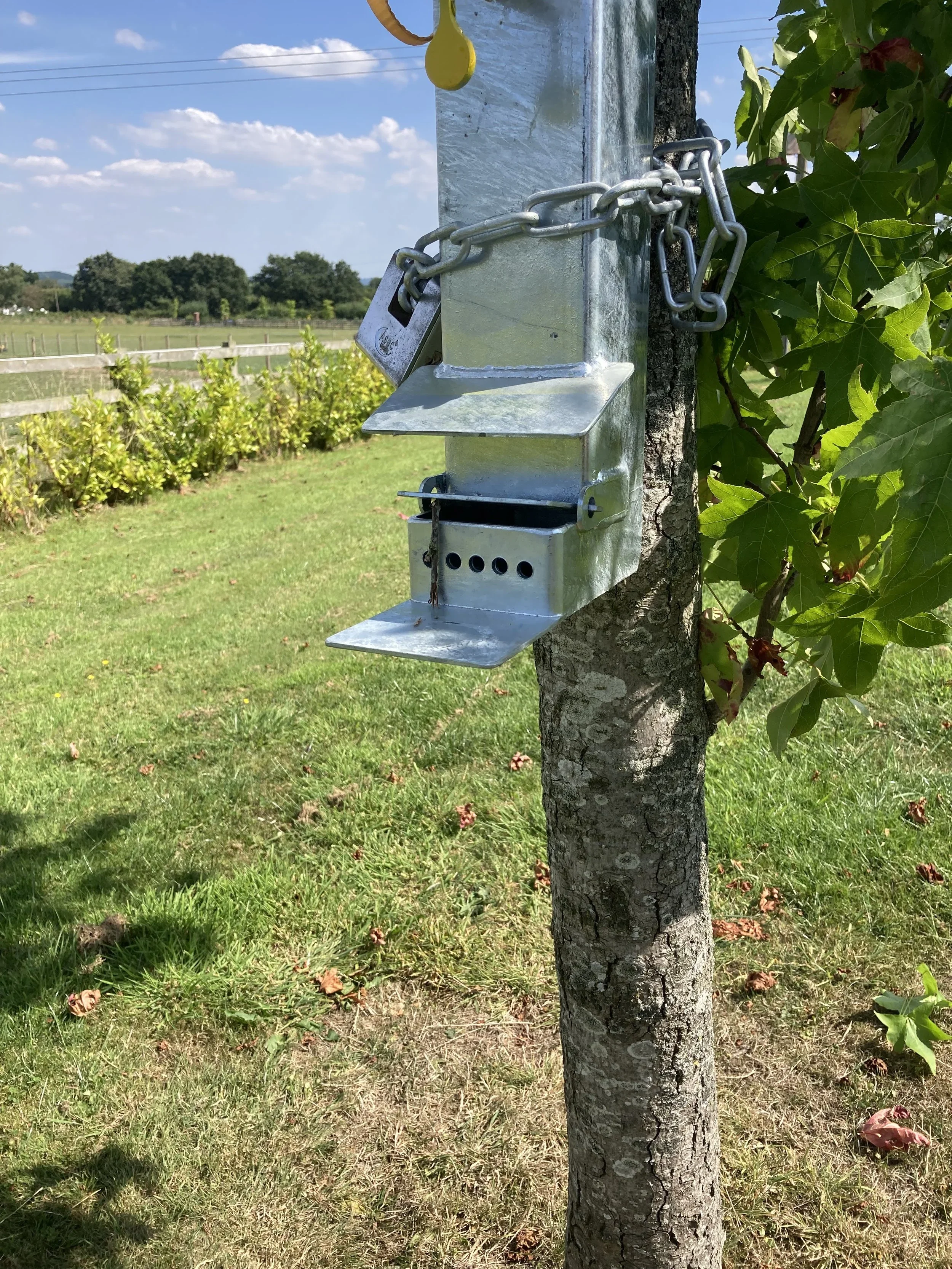 Squirrel feeder 5.webp