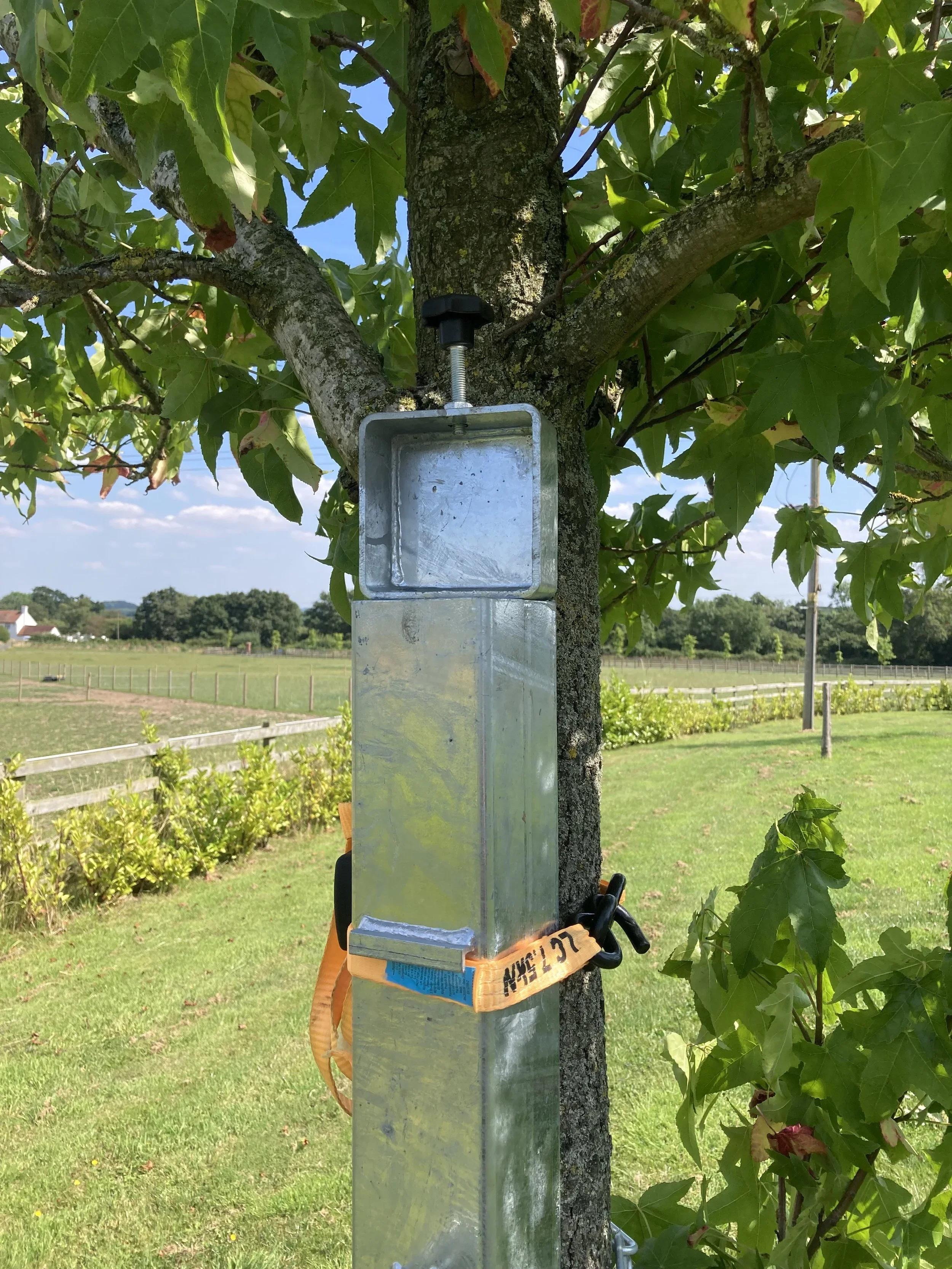 Squirrel feeder 3.webp