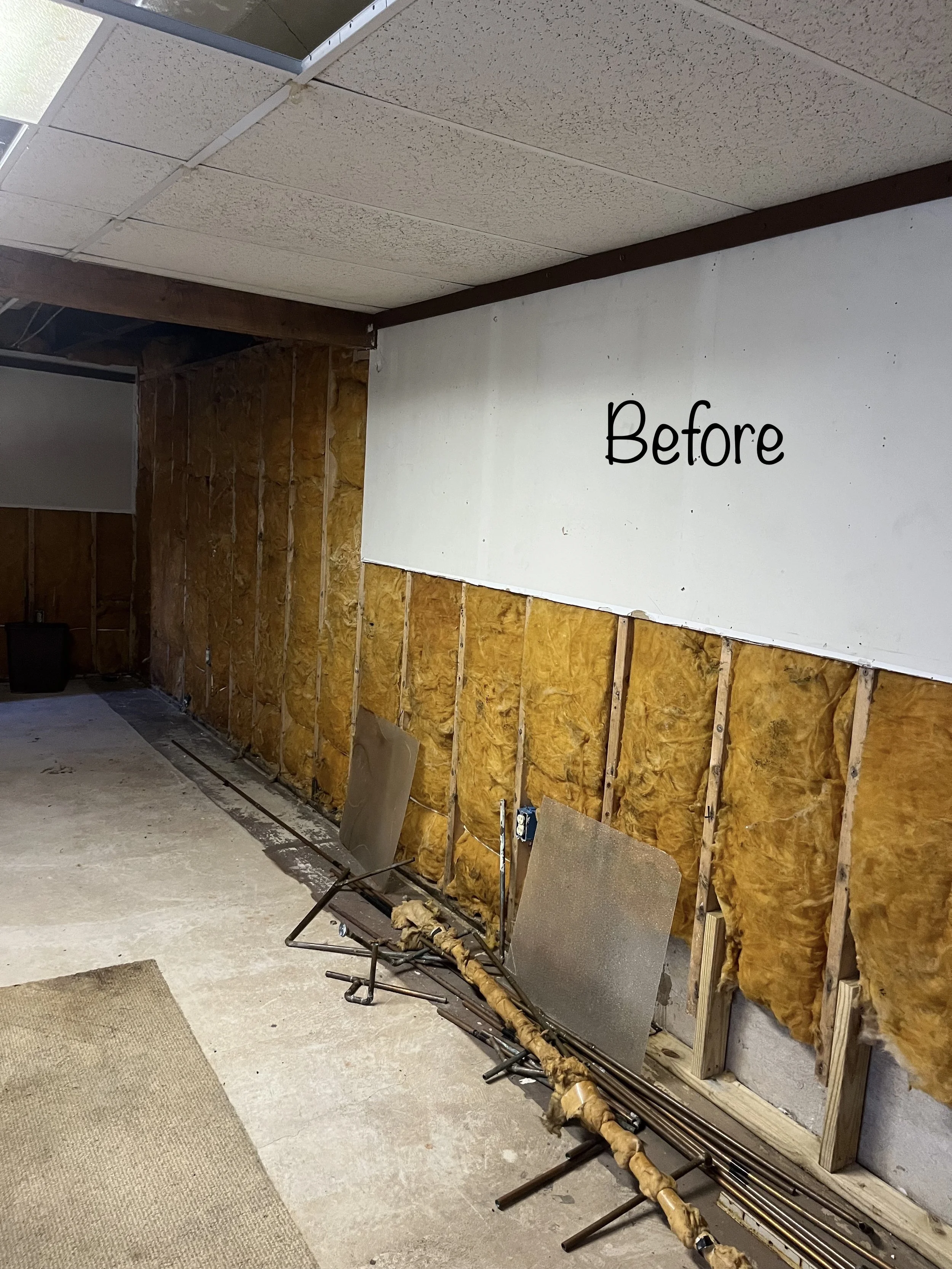 basementbefore1.jpg