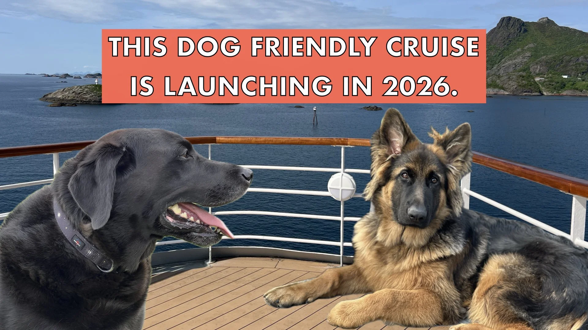 Want to Take Your Dog on a Cruise? This Could be Your Answer!