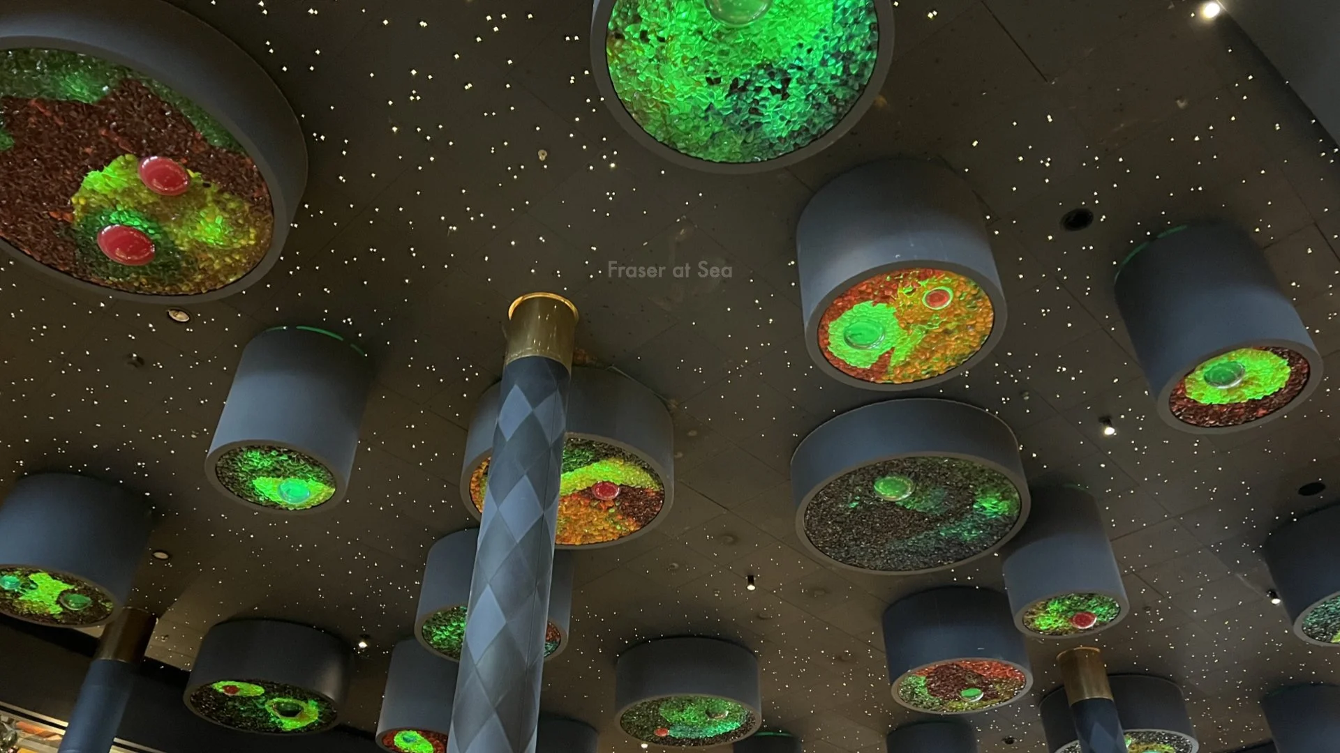 Borealis Ship Tour Photos.037.jpeg