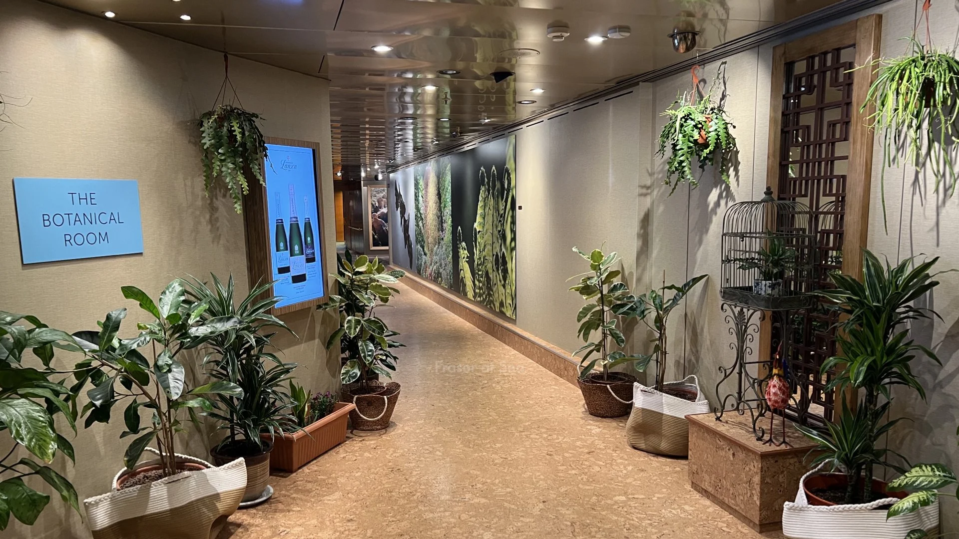 Borealis Ship Tour Photos.066.jpeg