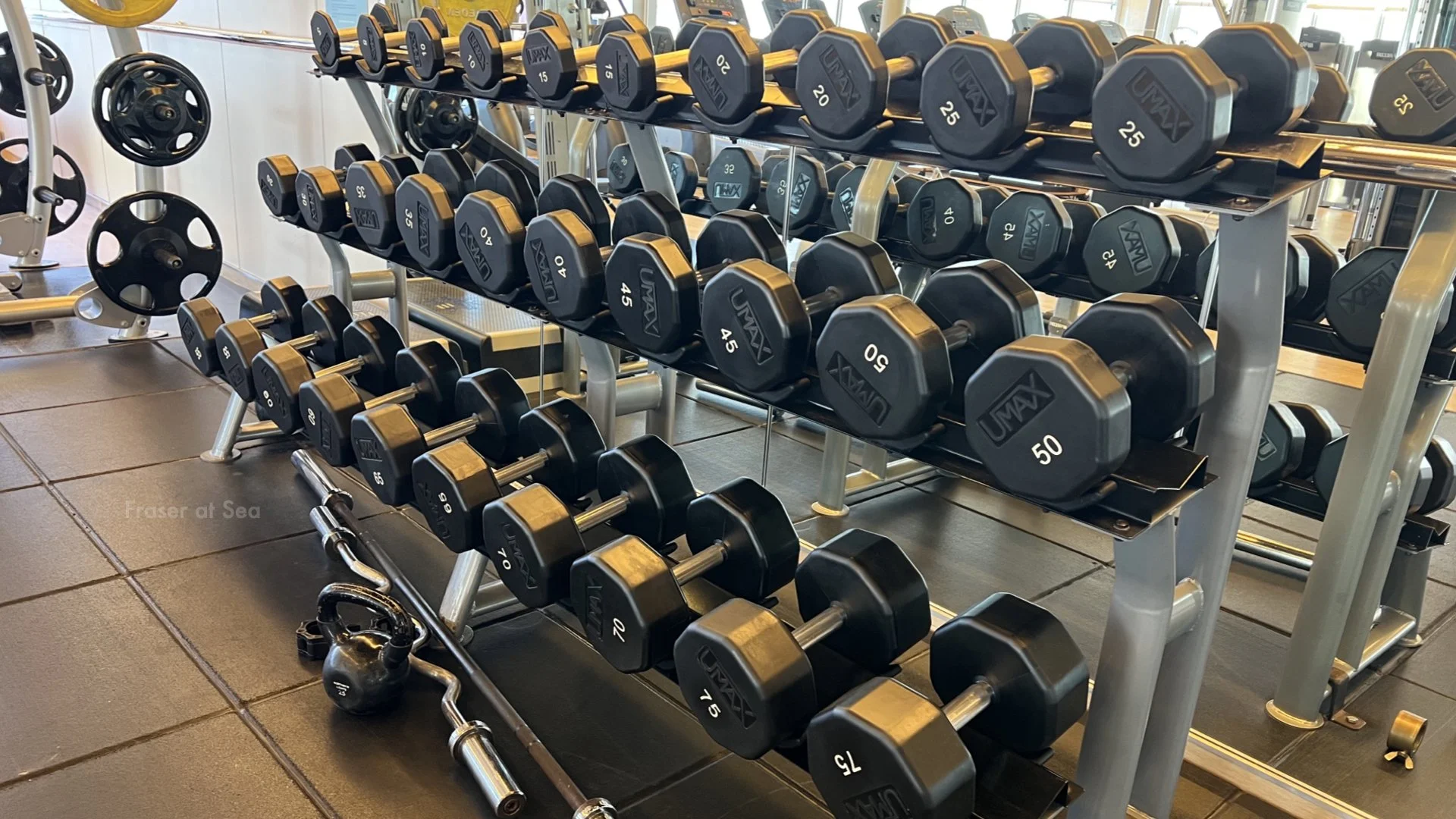 Borealis Ship Tour Photos.093.jpeg