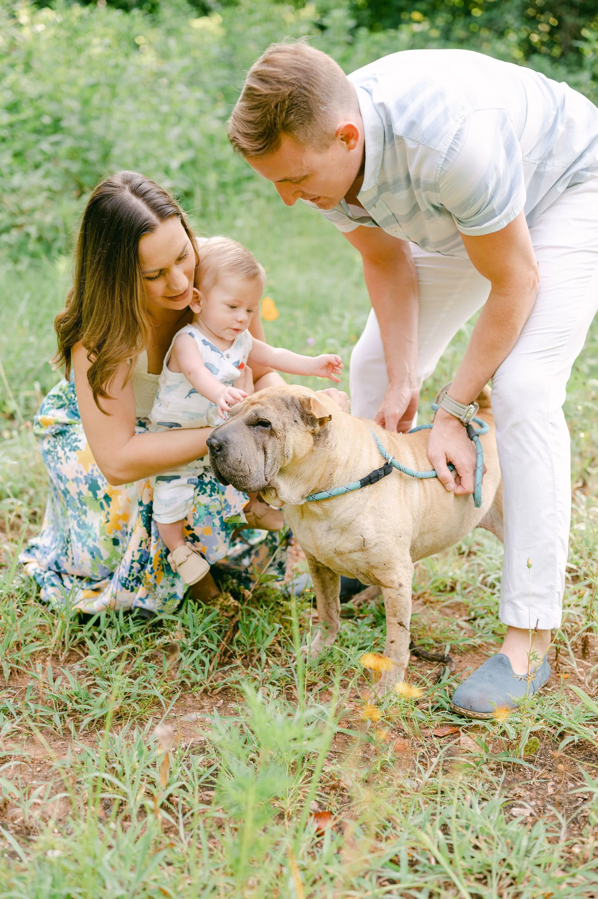 A family of three, including a woman, a man, and a young child, interacting with a large dog in a grassy outdoor setting with trees in the background.