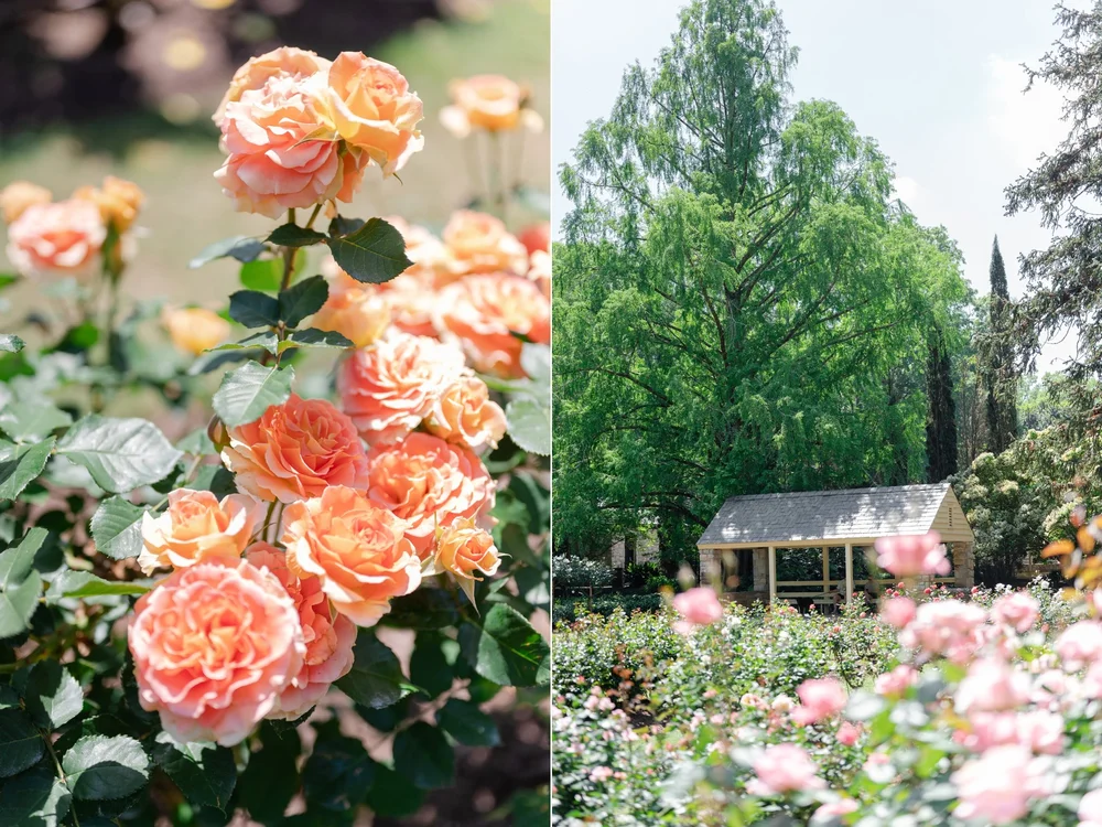 Best Engagement Photo Locations in Raleigh NC
