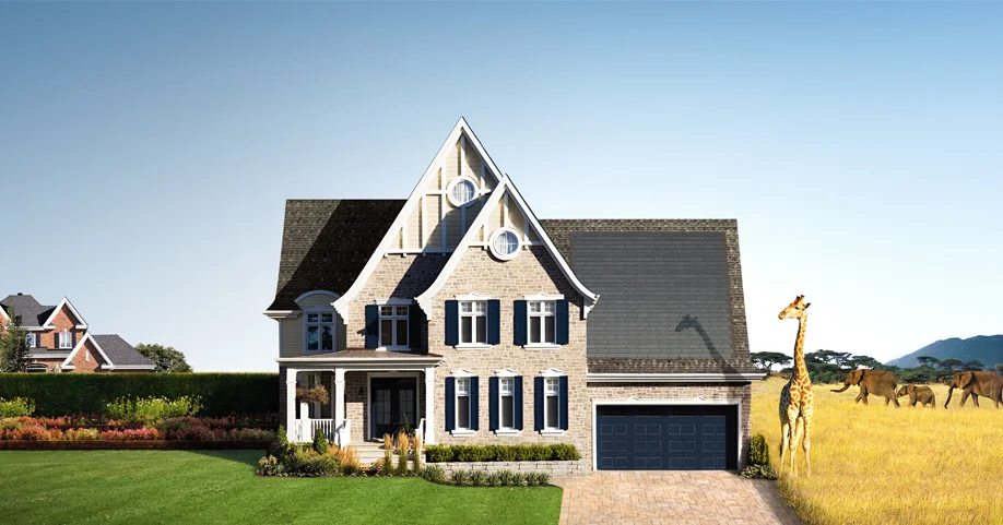 SAFARI HOUSE 915X481.jpg