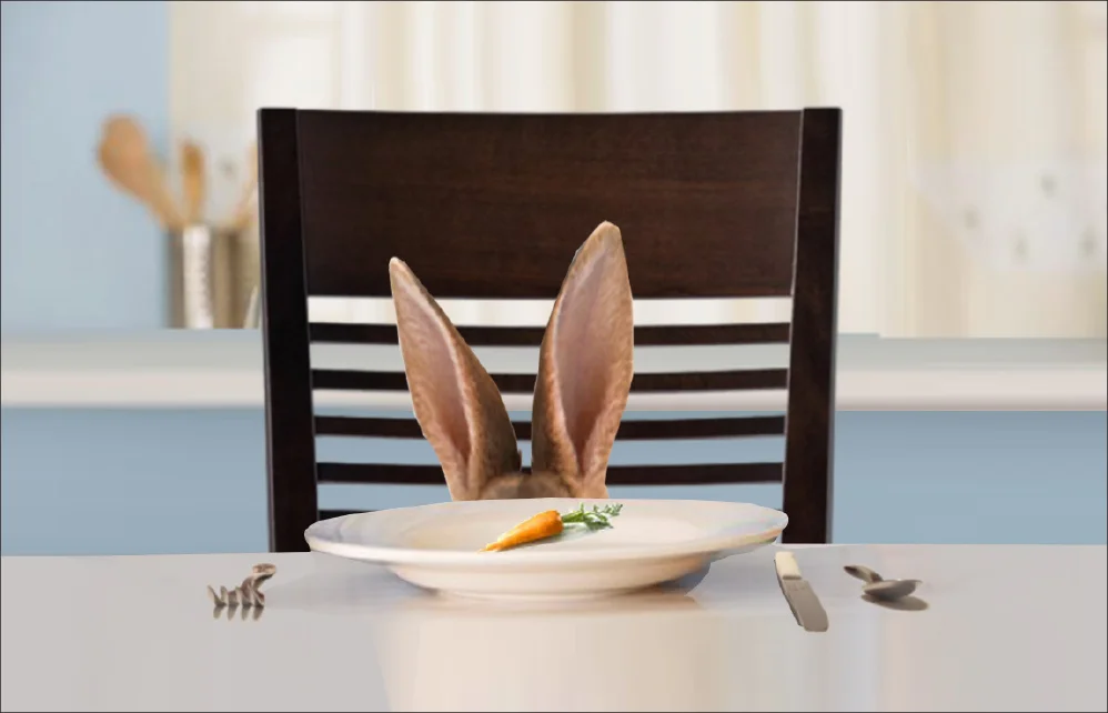 rabbit ears.jpg