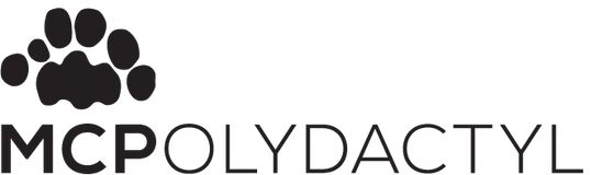 expert information on Maine Coon Polydactyls