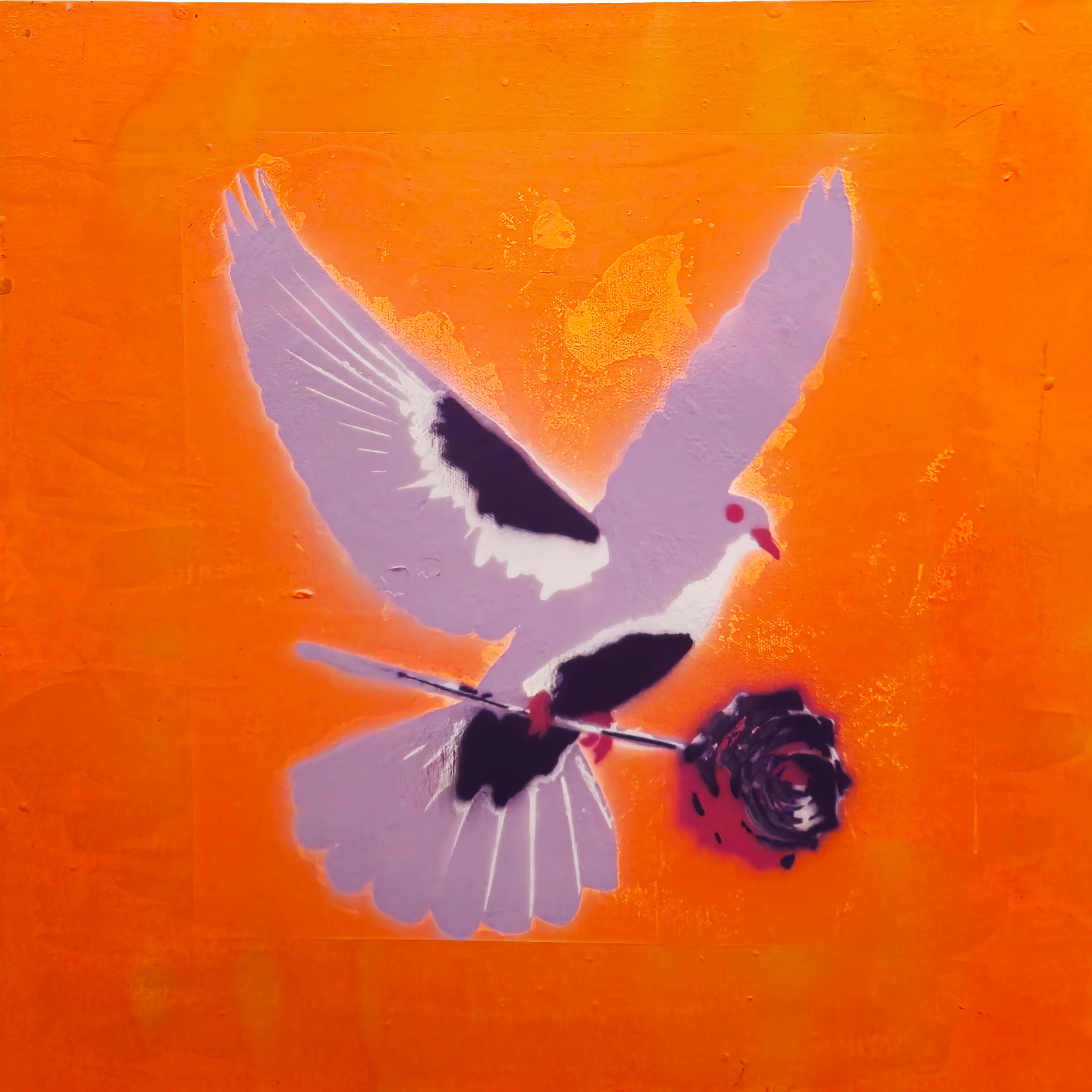 bird on orange.png