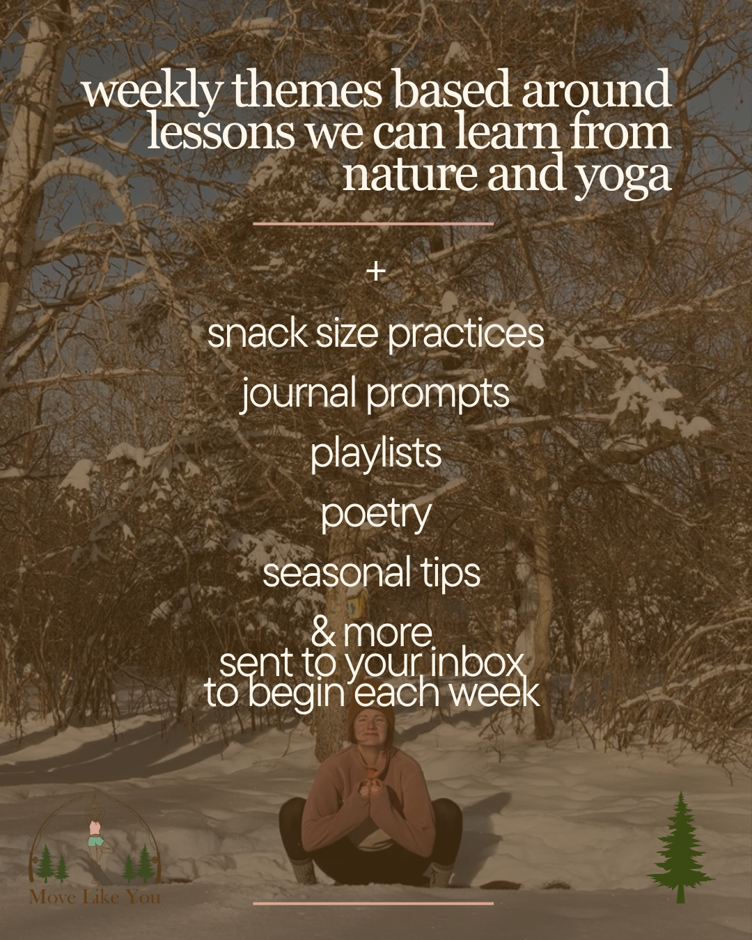 Copy of Copy of Copy of fall class schedule - 2.png