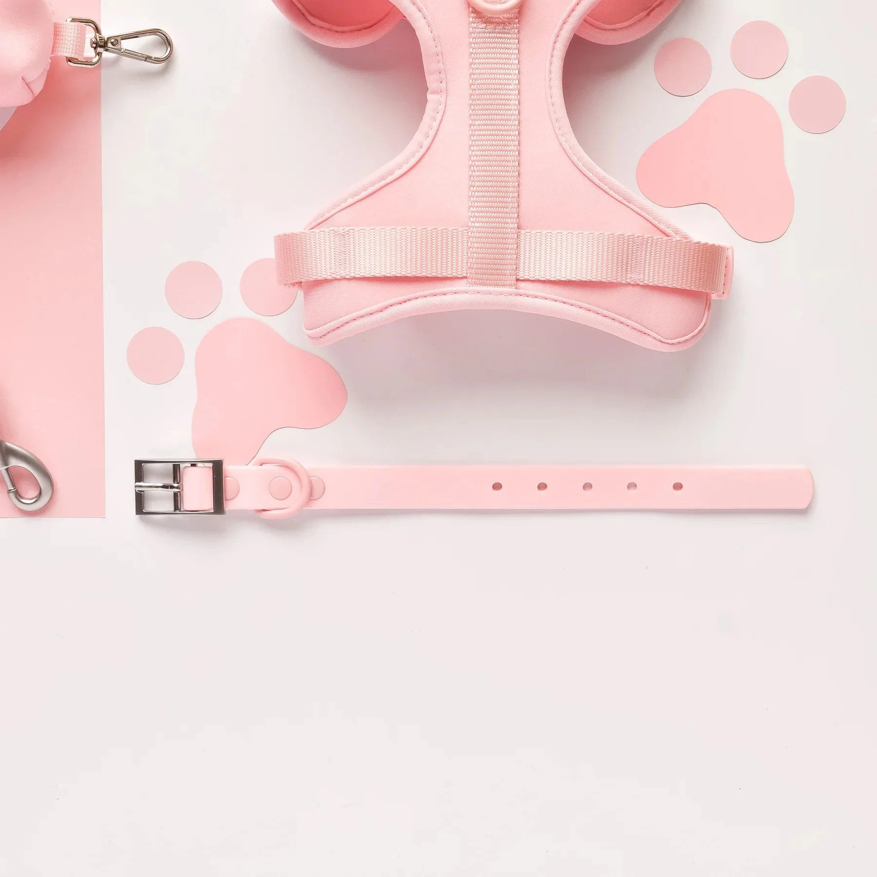 pitahaya-candyfloss-waterproof-collar.jpg