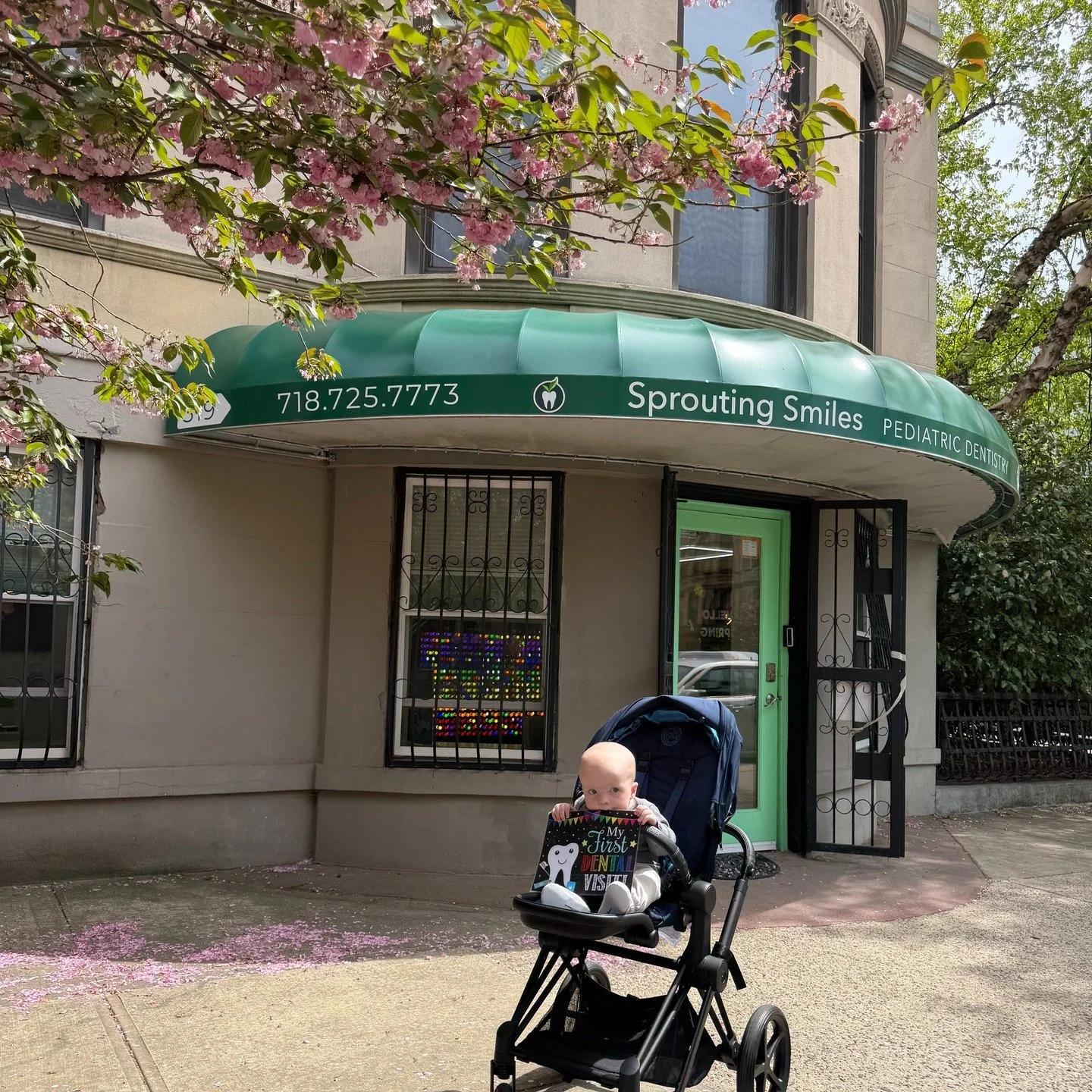 Spring has arrived at Sprouting Smiles 🌸

Our beautiful tree is in full bloom&mdash;making it the perfect time to stop by, snap a photo, and celebrate your little one&rsquo;s very first dental visit!

Starting early sets the foundation for a lifetim